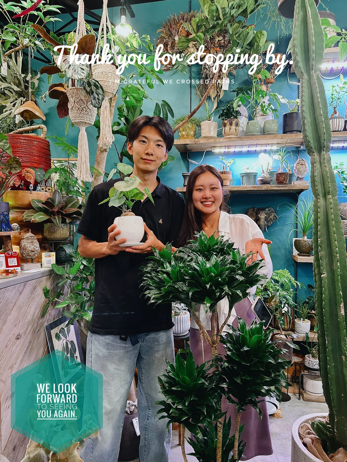 【植物専門店バーレルプランツのおすすめ植物たちをピックアップ...