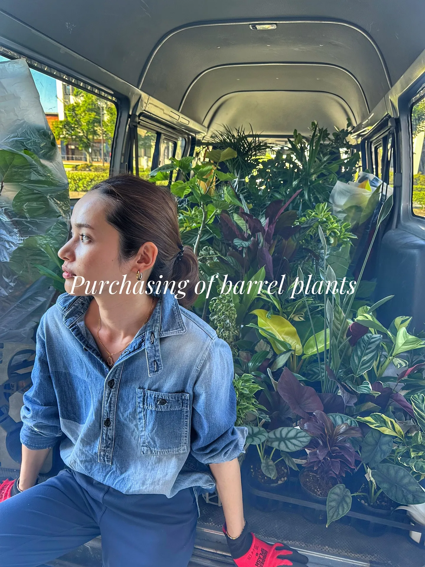 【新作の鉢の買い付け！植物たちの仕入れ完了！barrelpl...
