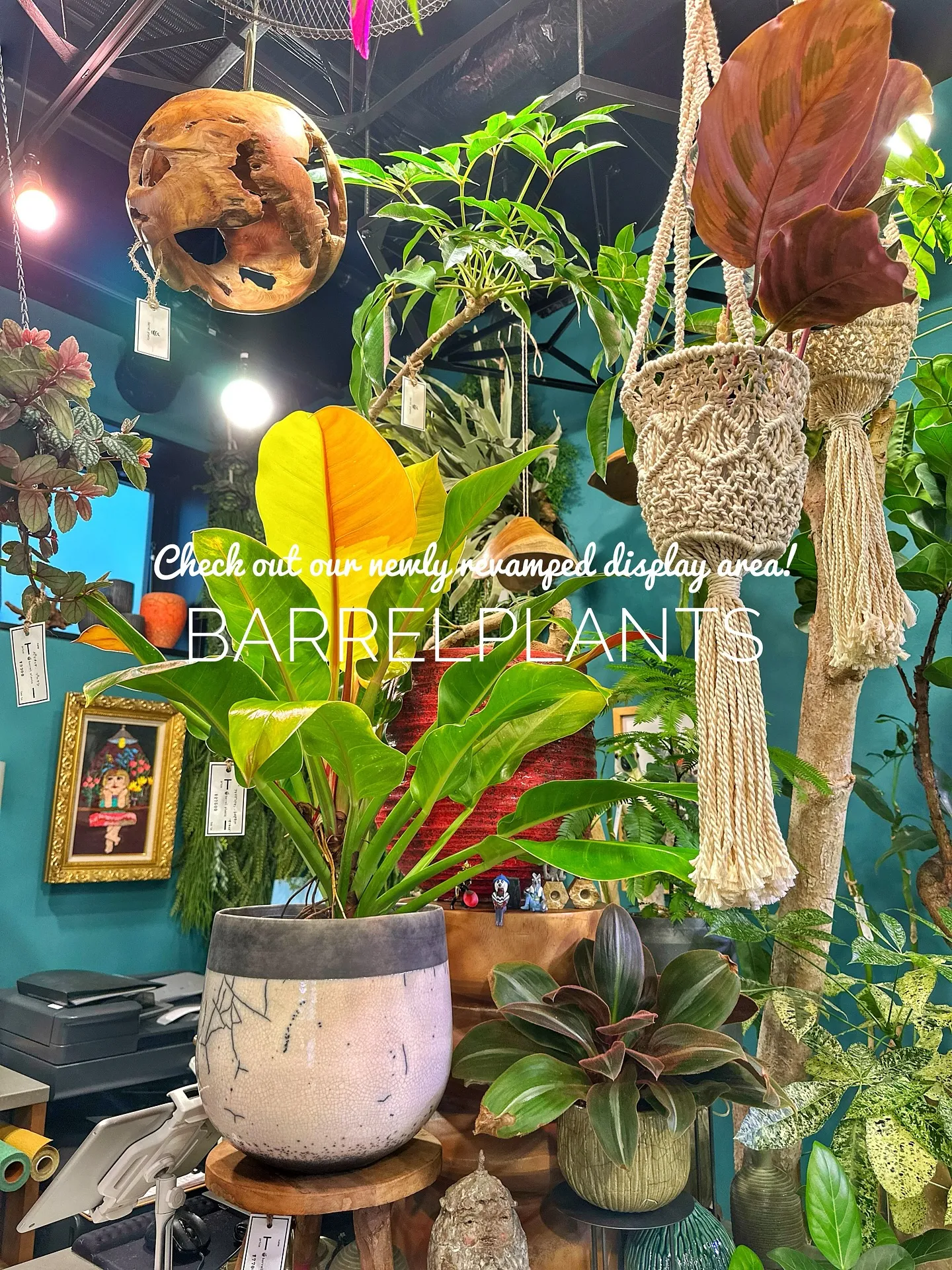 【売り場ディスプレイ完了！たくさん植物盛りだくさん♡barr...