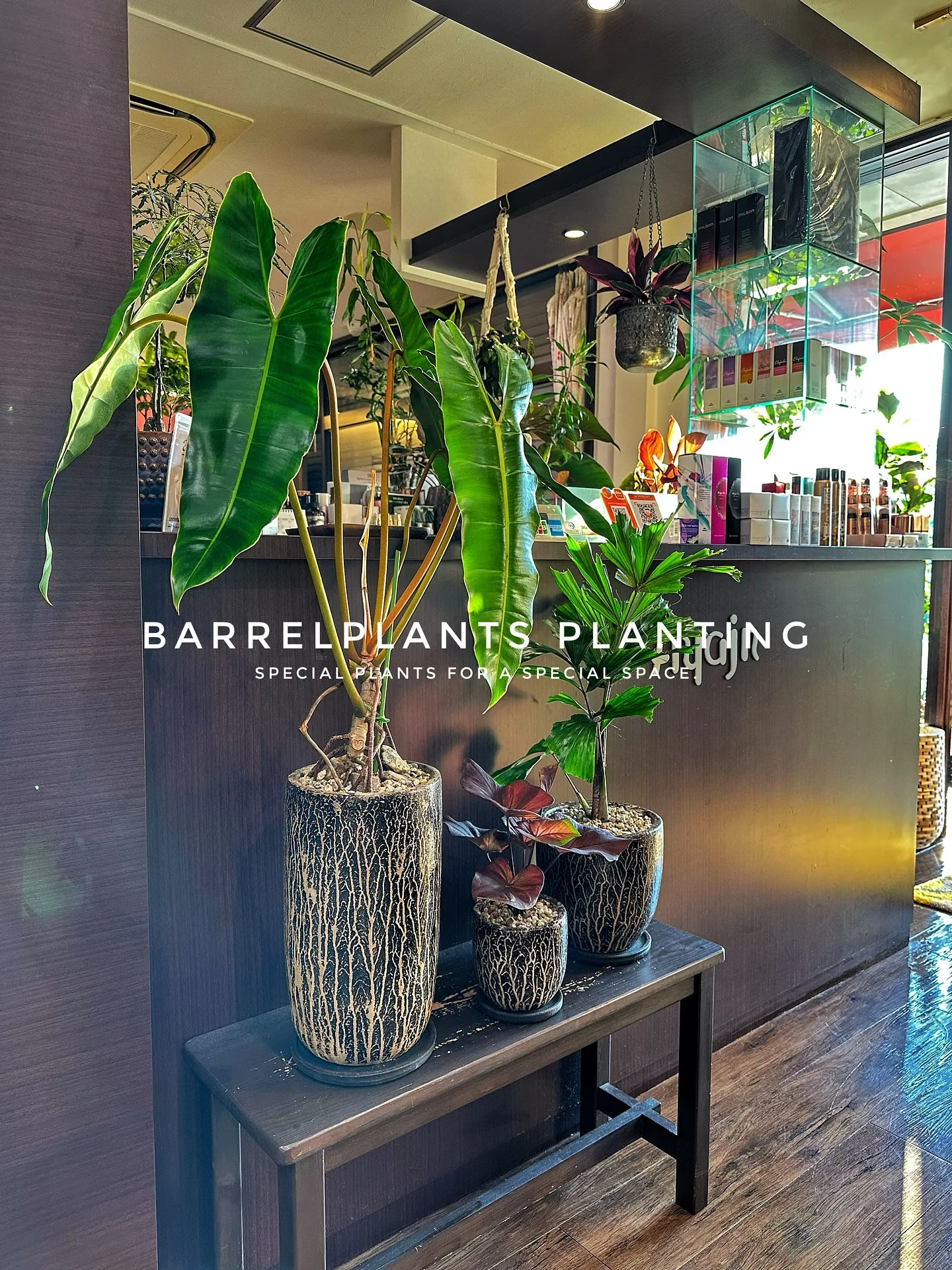 【植え込み完了！たくさんの植物で皆さまのご来店お待ちしており...