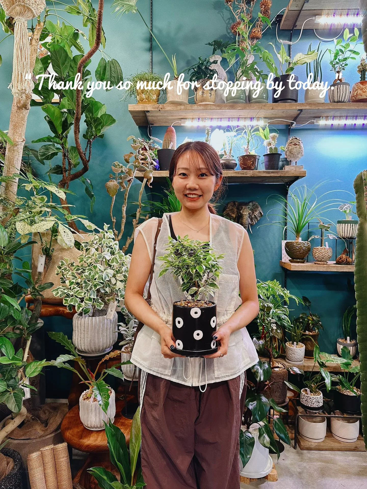 【植え込み完了！たくさんの植物で皆さまのご来店お待ちしており...