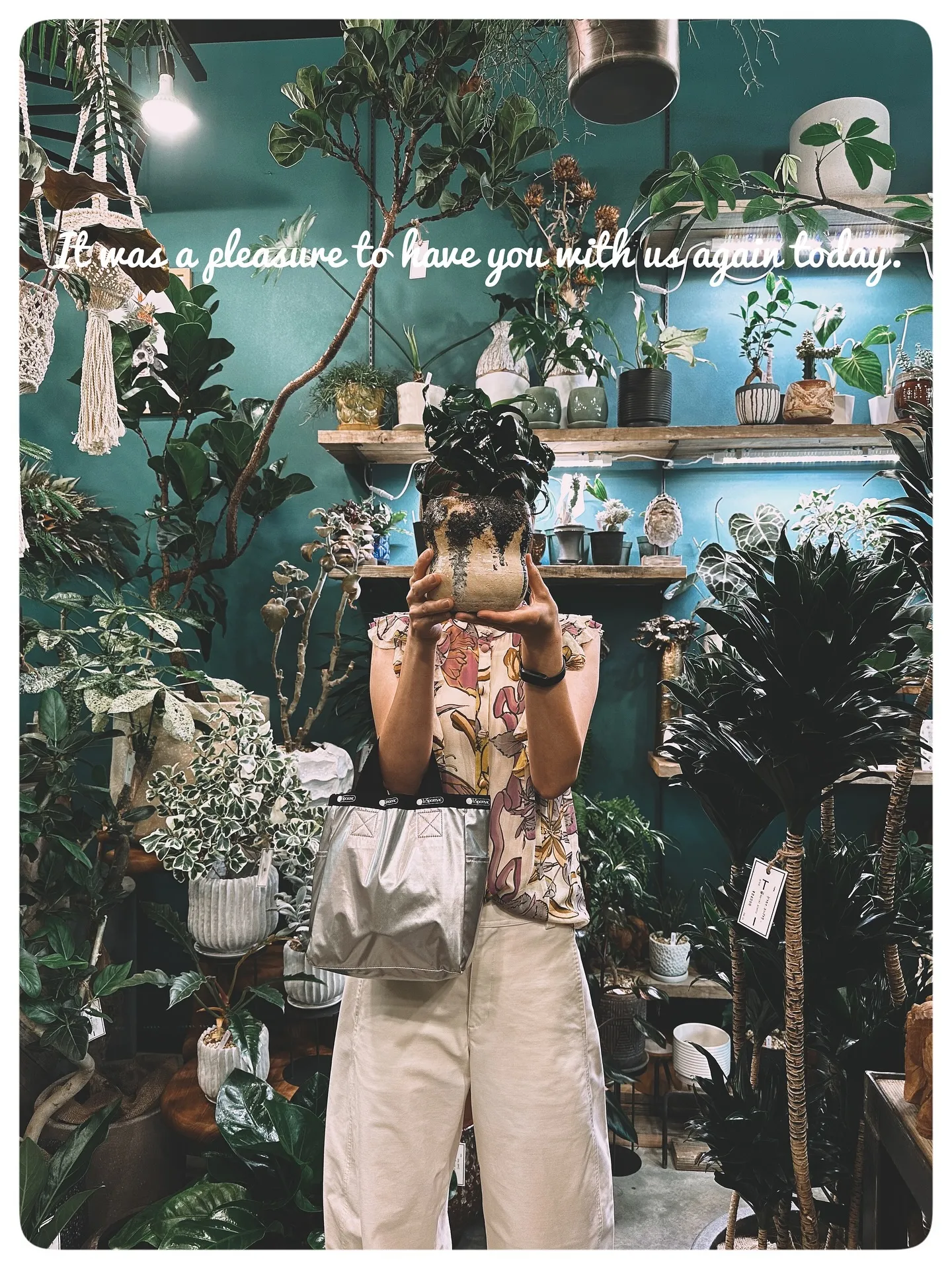 【こだわりの鉢新作！第一弾入荷！植物専門店、barrelpl...