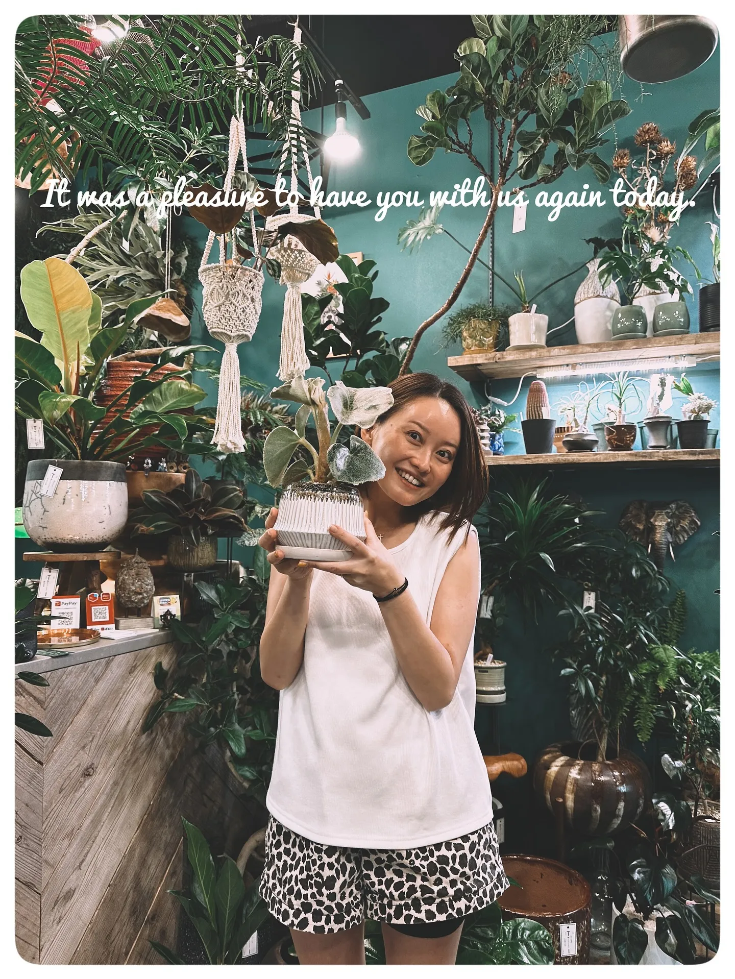【こだわりの鉢新作！第一弾入荷！植物専門店、barrelpl...