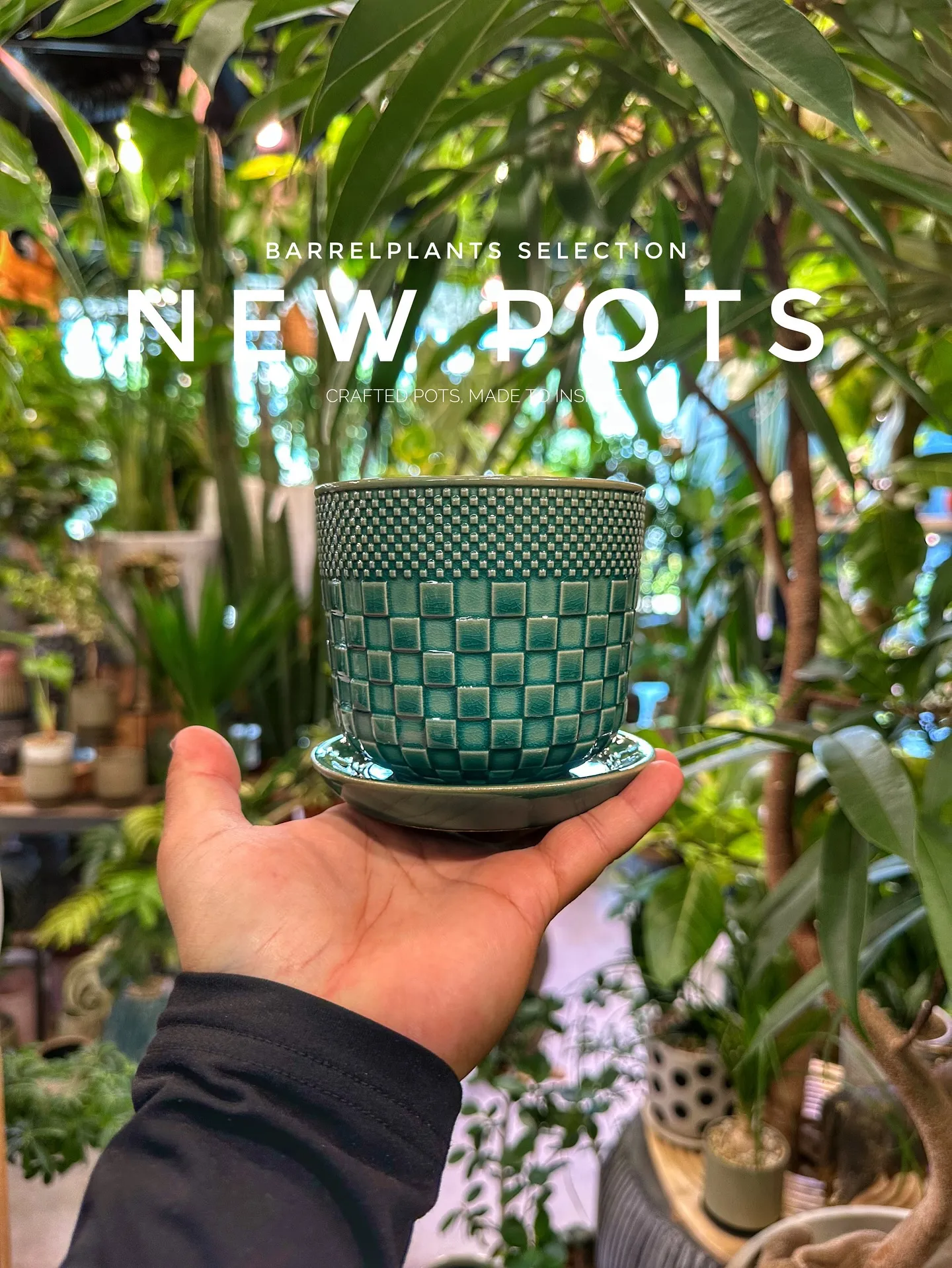 【こだわりの鉢新作！第一弾入荷！植物専門店、barrelpl...