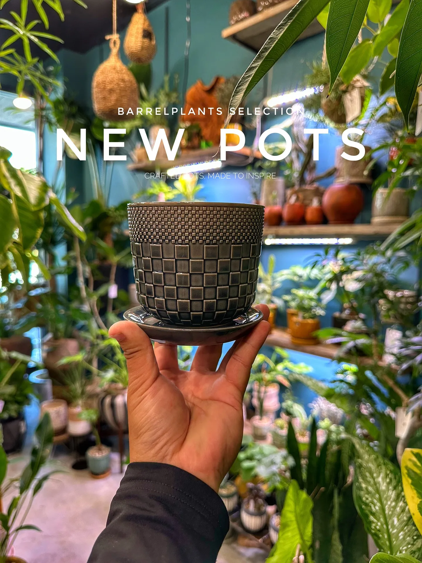【こだわりの鉢新作！第一弾入荷！植物専門店、barrelpl...