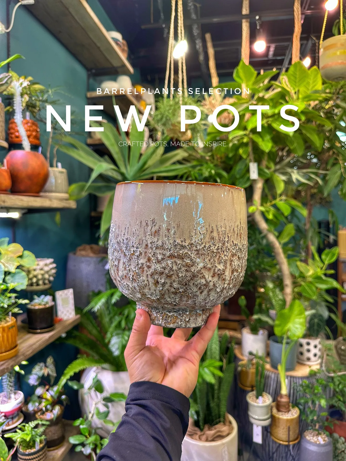 【こだわりの鉢新作！第一弾入荷！植物専門店、barrelpl...