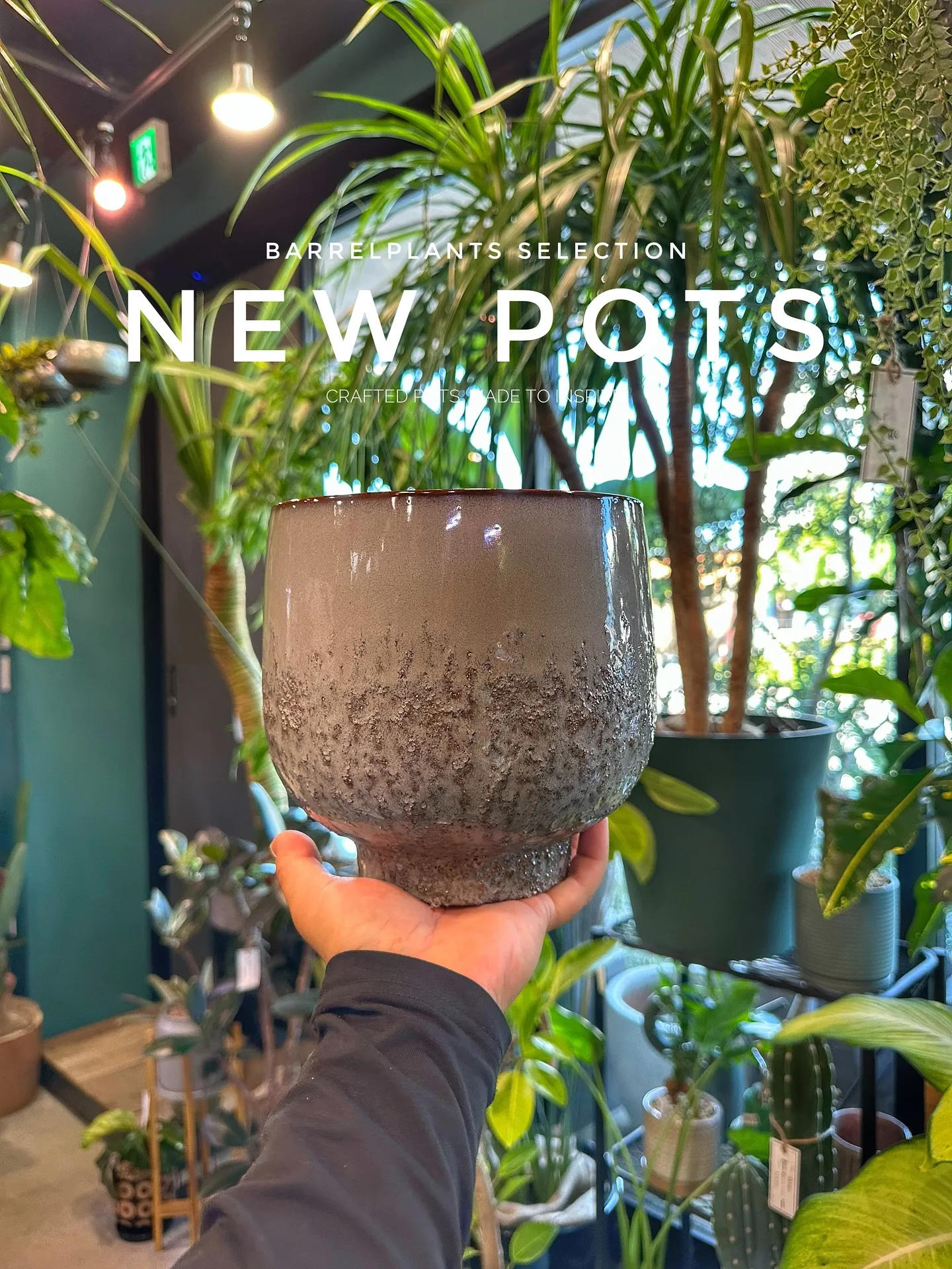【こだわりの鉢新作！第一弾入荷！植物専門店、barrelpl...