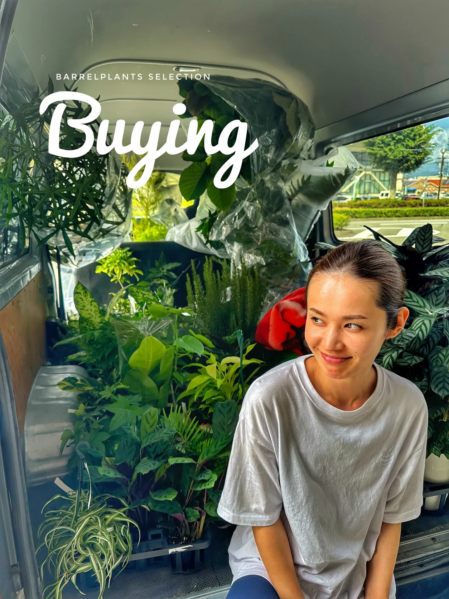 【植物大量入荷のお知らせ！植物専門店barrelplants...