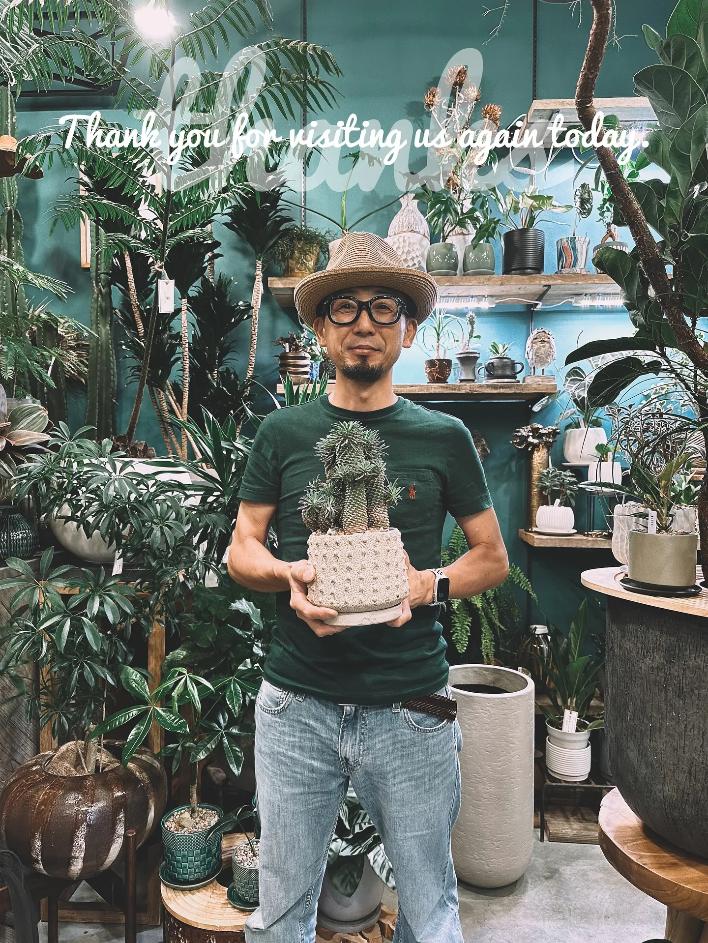 【植物大量入荷のお知らせ！植物専門店barrelplants...