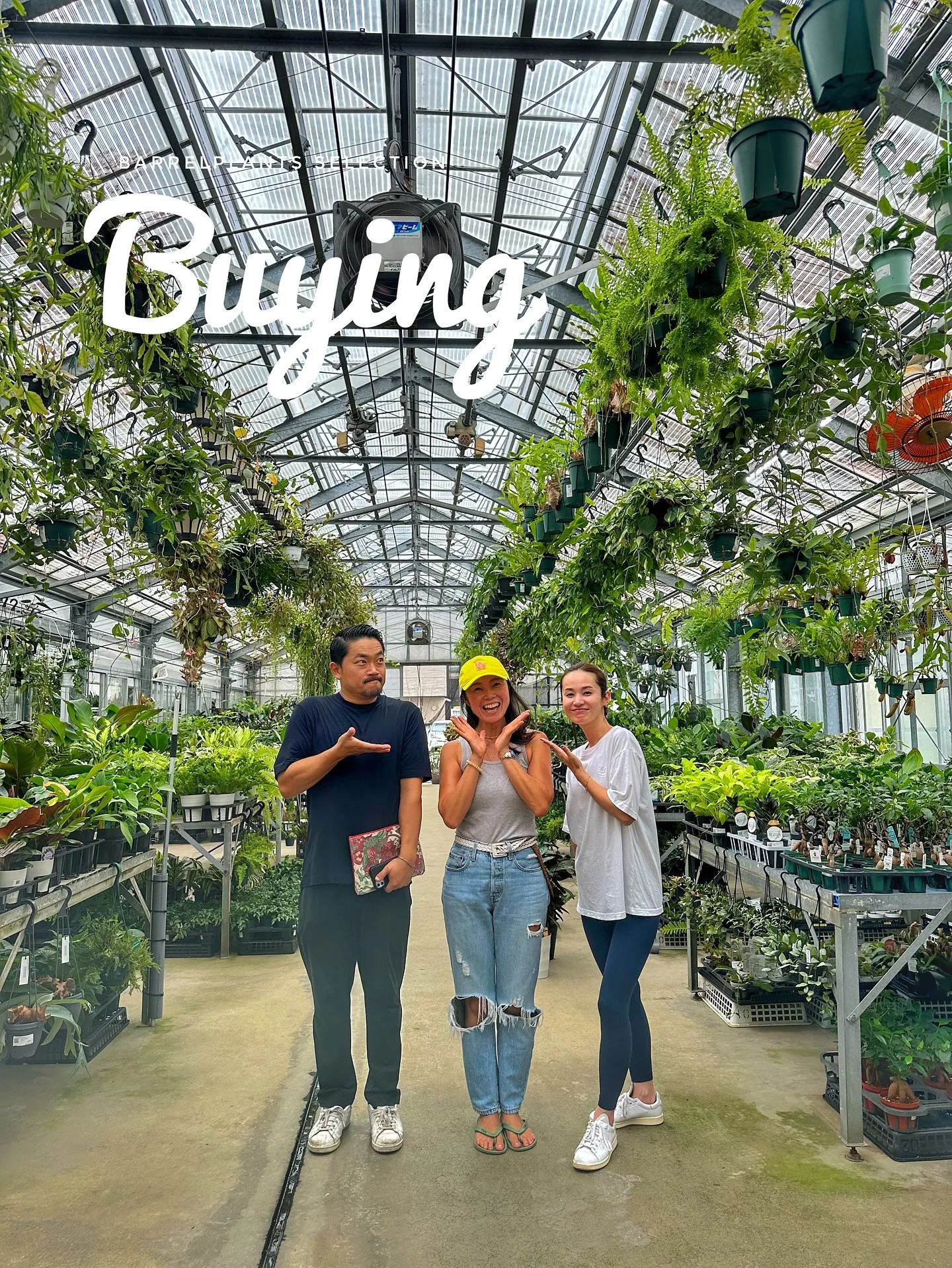【植物大量入荷のお知らせ！植物専門店barrelplants...