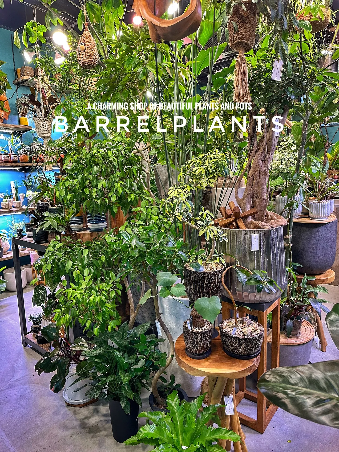 【兵庫県たつの市龍野町富永1005-44にある植物専門店、 ...