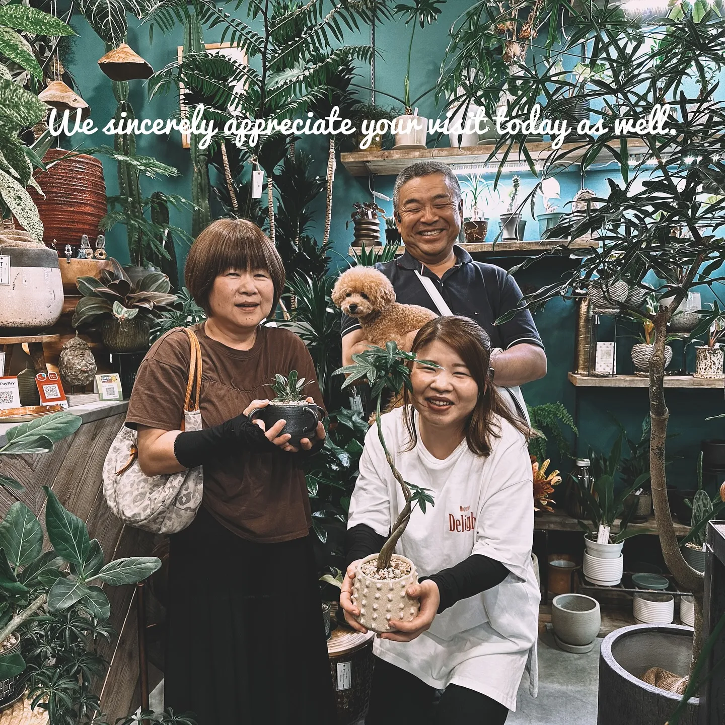 【植物専門店、barrelplantsのネットショップに商品...