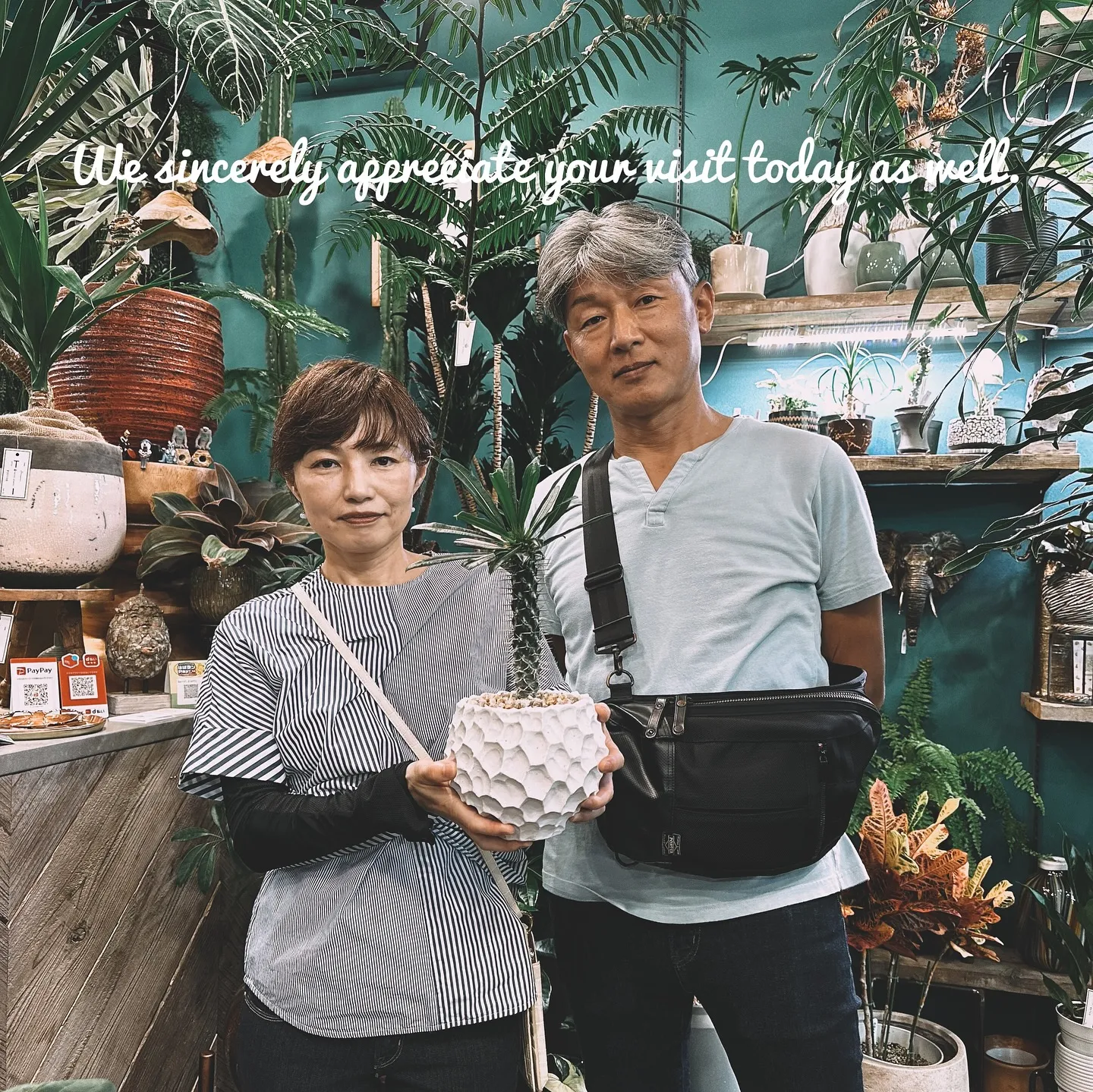 【植物専門店、barrelplantsのネットショップに商品...