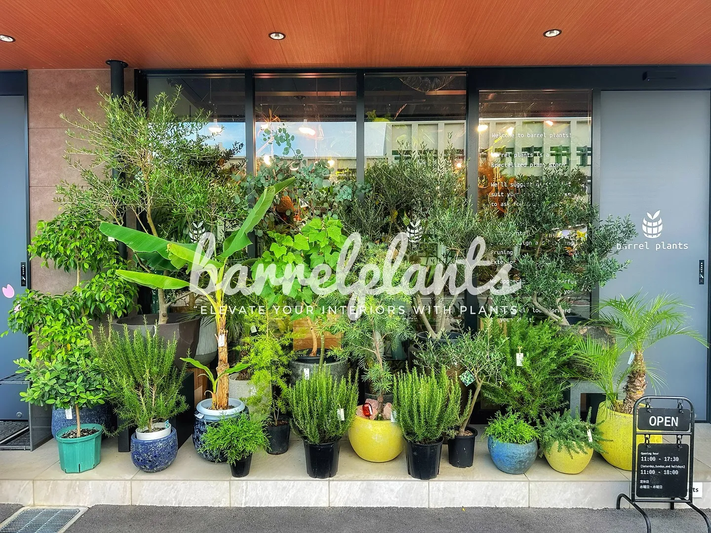 【こだわりの植物とこだわりの鉢のお店、植物専門店barrel...