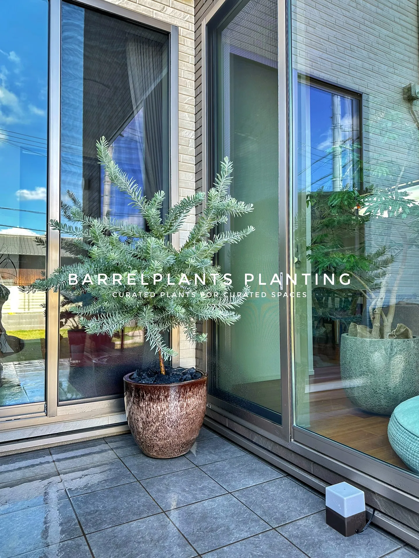 【こだわりの植物をこだわりの鉢に植えて♡barrelplan...