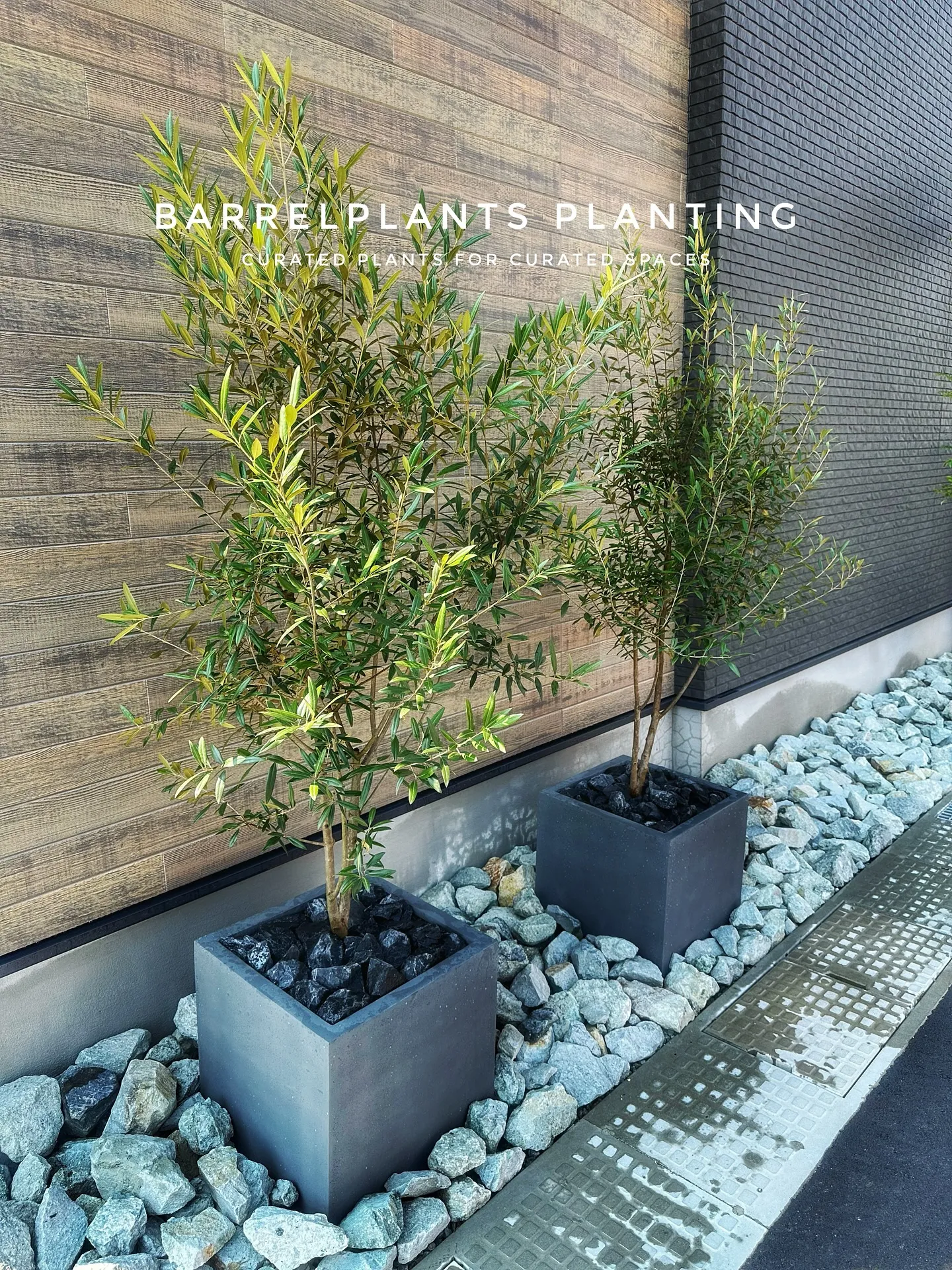 【こだわりの植物をこだわりの鉢に植えて♡barrelplan...