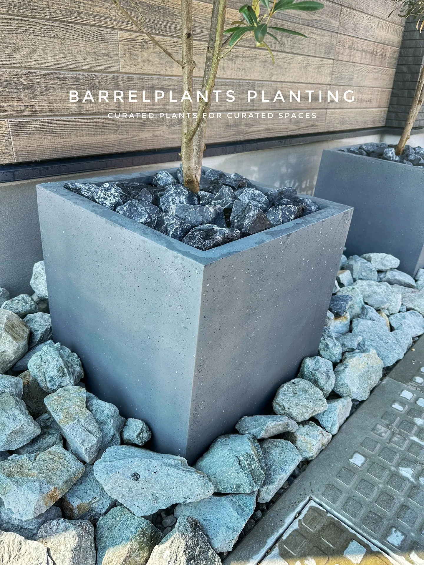【こだわりの植物をこだわりの鉢に植えて♡barrelplan...