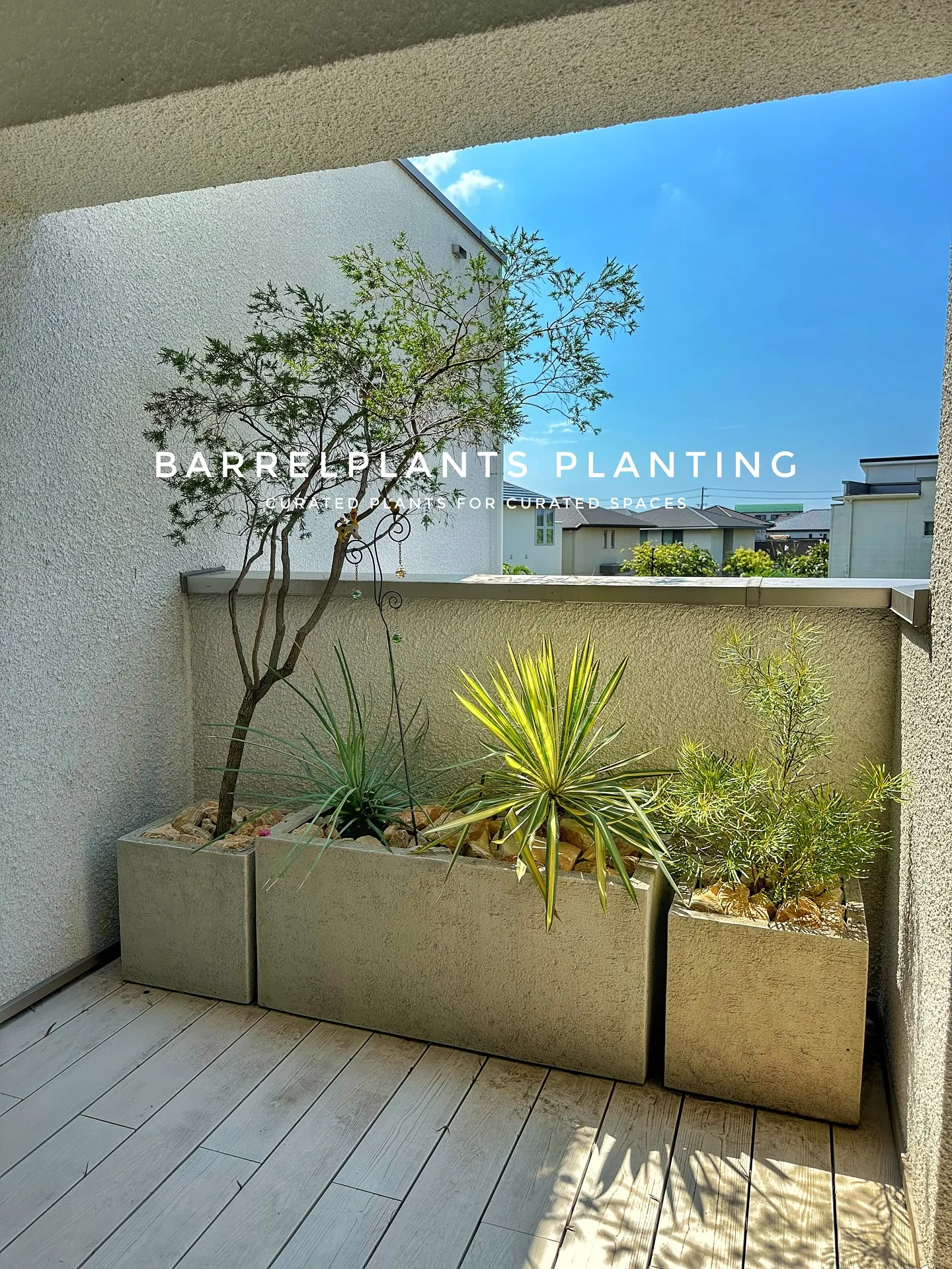 【こだわりの植物をこだわりの鉢に植えて♡barrelplan...