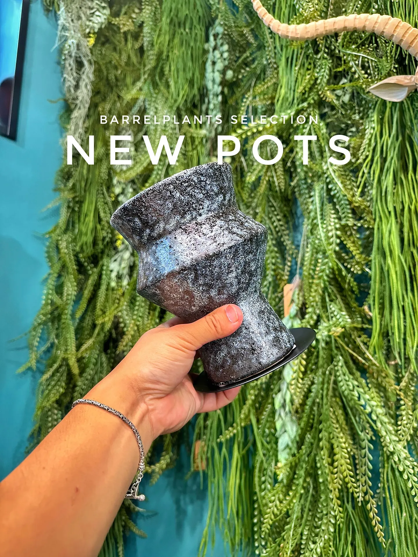 【本日もこだわりの鉢多数入荷！植物専門店barrelplan...