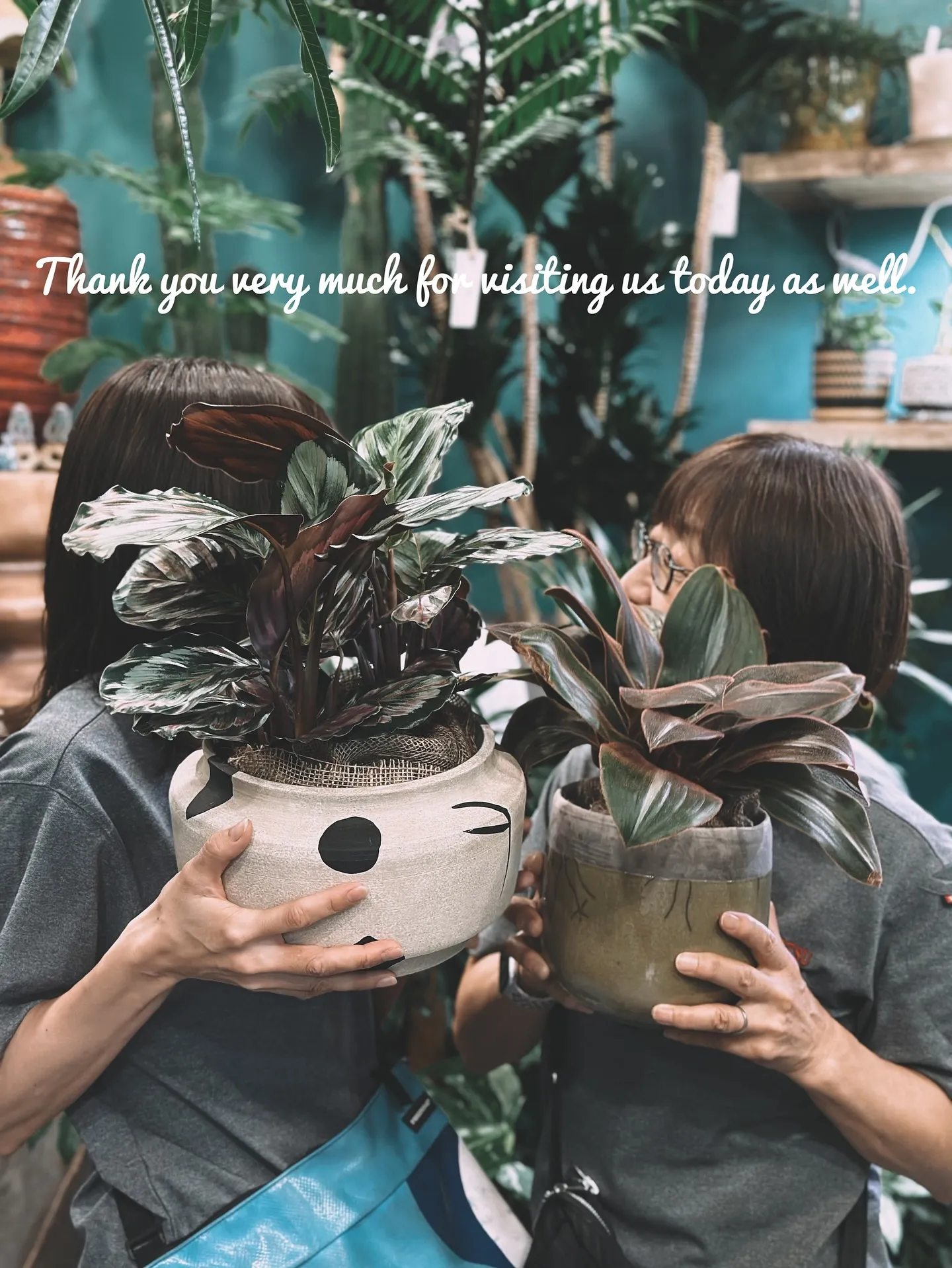 【本日もこだわりの鉢多数入荷！植物専門店barrelplan...