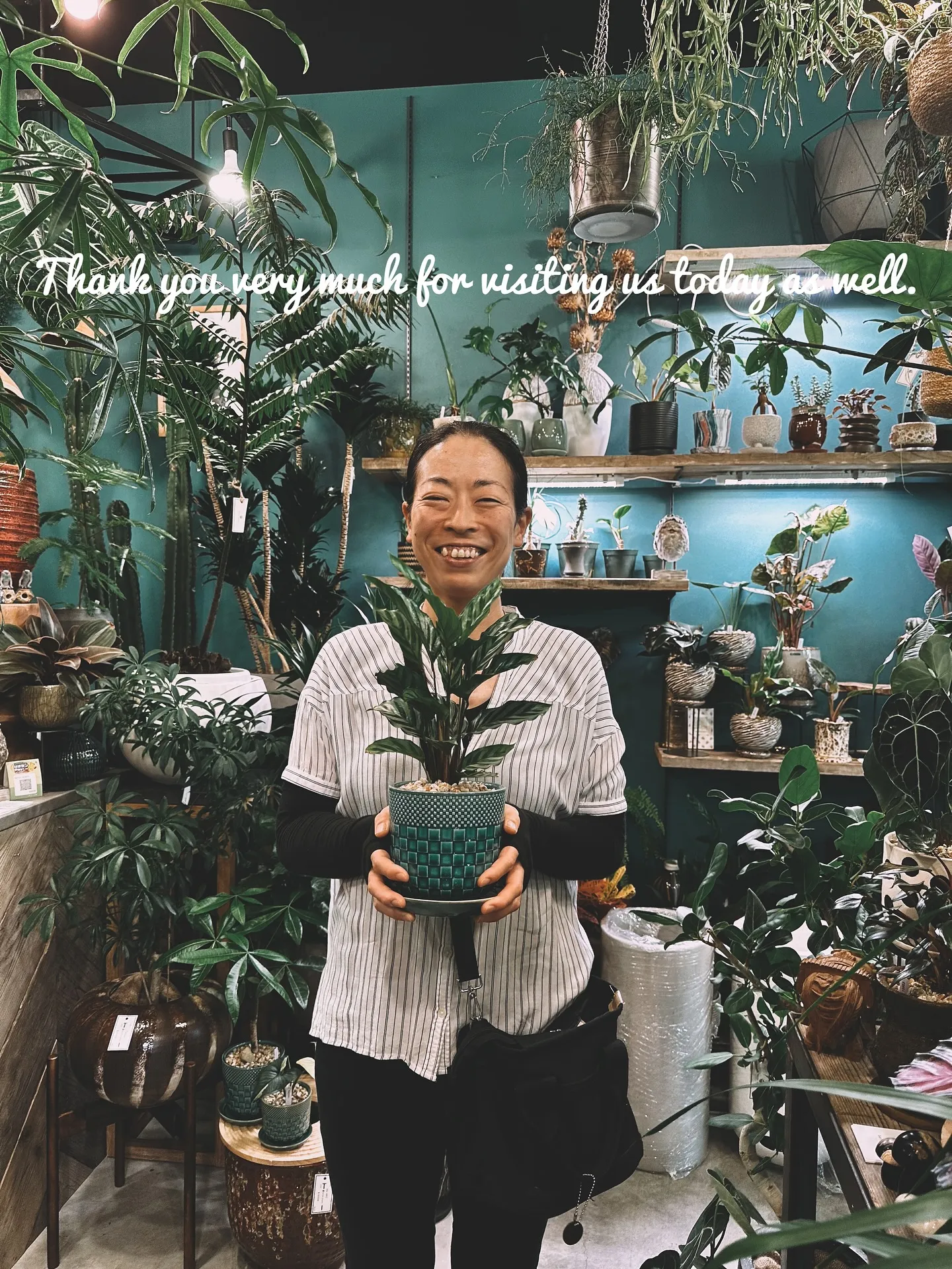 【本日もこだわりの鉢多数入荷！植物専門店barrelplan...