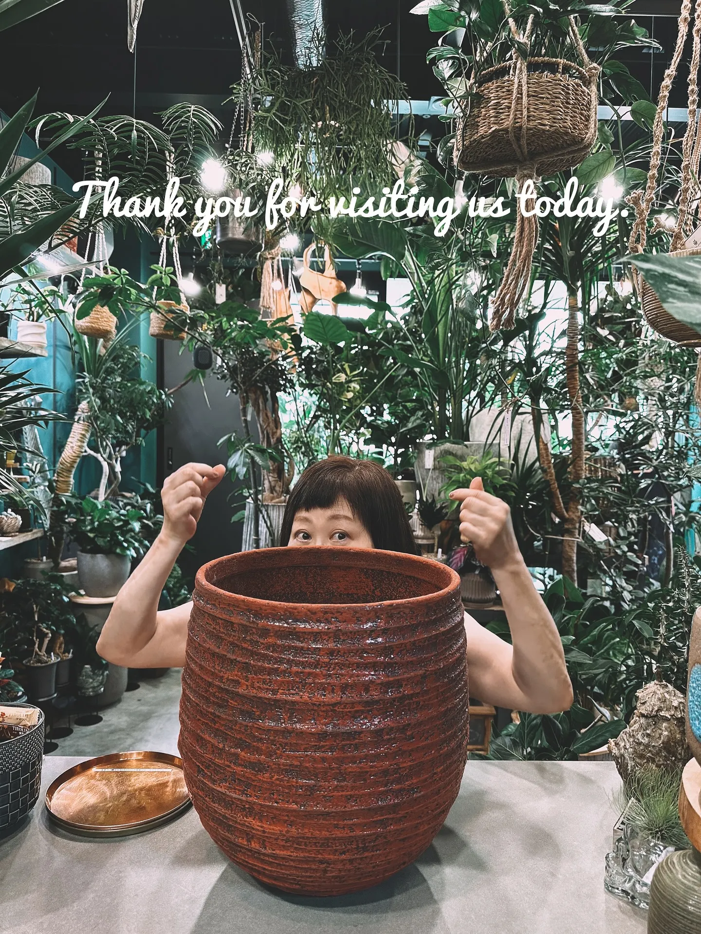 【お店の植物たちを綺麗にしよう！barrelplantsがお...