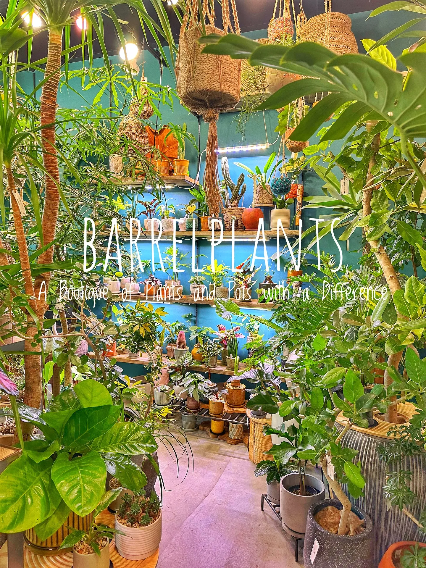 【皆様の最高の笑顔をカシャリ📷✨植物専門店のバーレルプランツ...