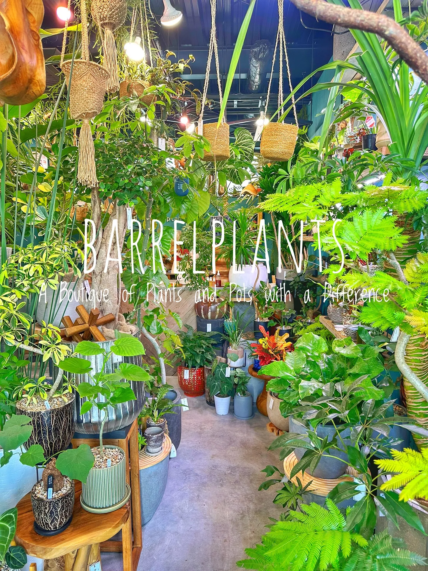 【皆様の最高の笑顔をカシャリ📷✨植物専門店のバーレルプランツ...