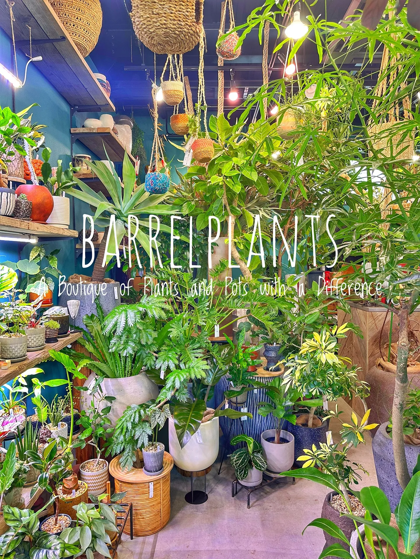 【皆様の最高の笑顔をカシャリ📷✨植物専門店のバーレルプランツ...