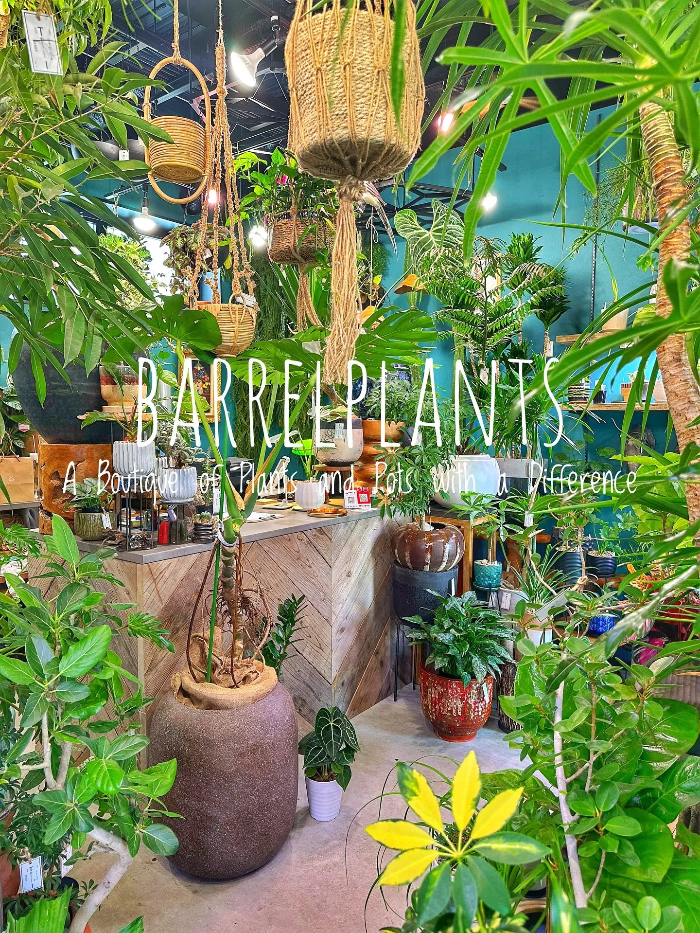 【皆様の最高の笑顔をカシャリ📷✨植物専門店のバーレルプランツ...