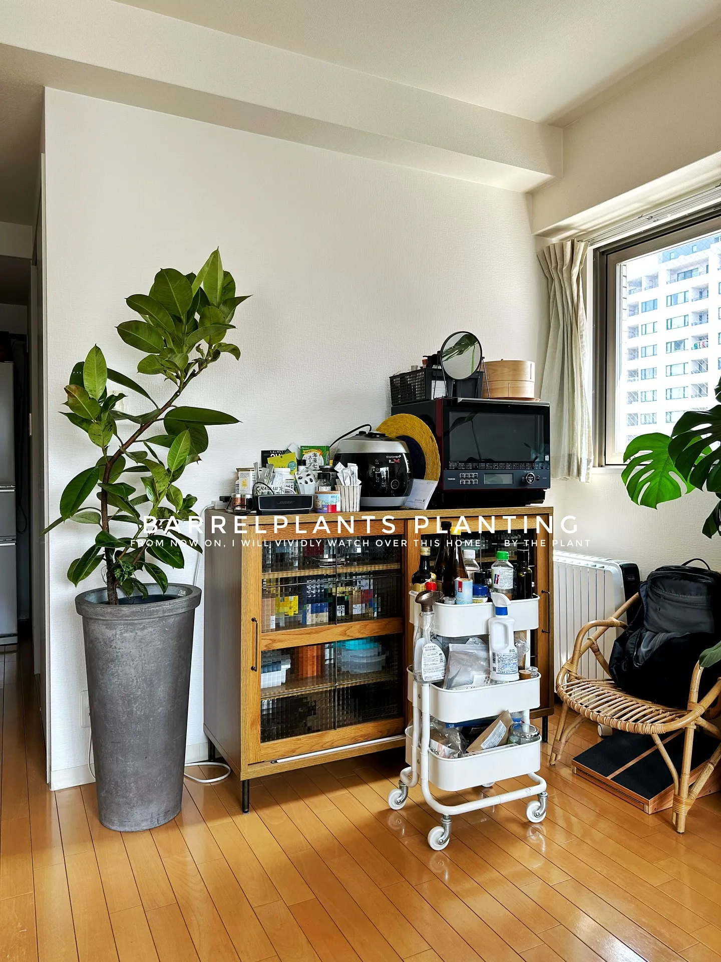 【こだわりの植物を、こだわりのインテリア空間に加えませんか？...