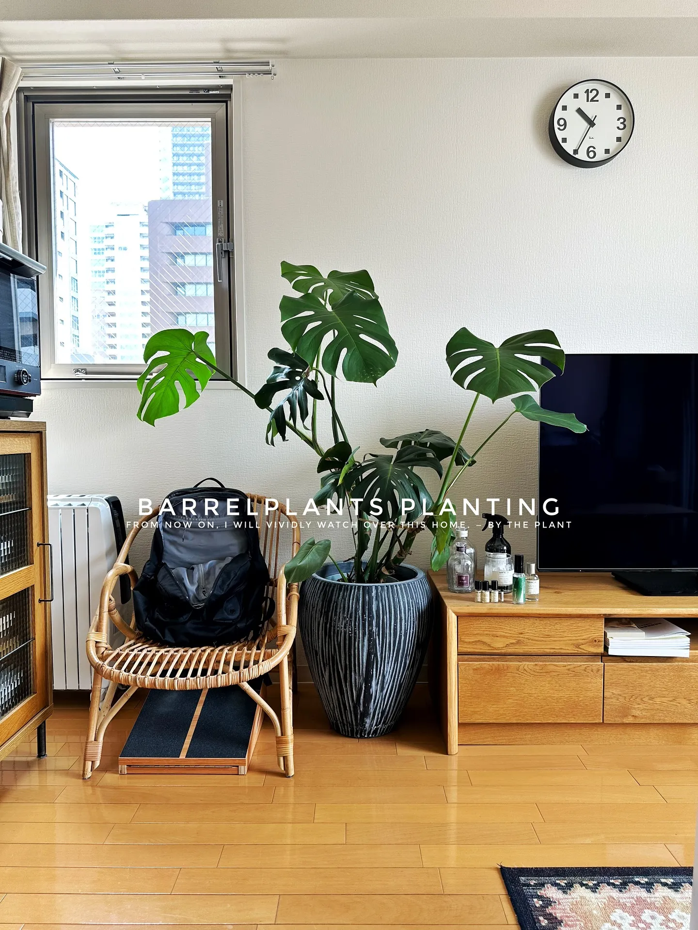 【こだわりの植物を、こだわりのインテリア空間に加えませんか？...