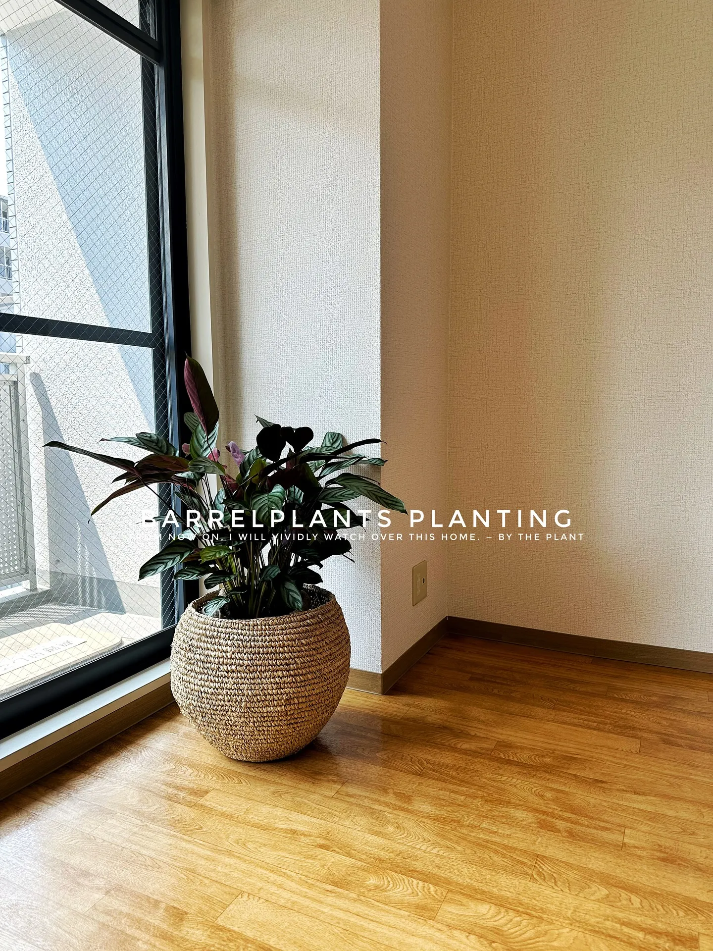 【こだわりの植物を、こだわりのインテリア空間に加えませんか？...