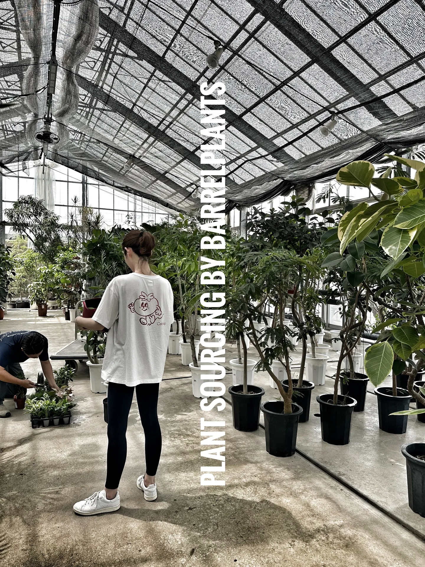 【こだわりの植物を、こだわりのインテリア空間に加えませんか？...