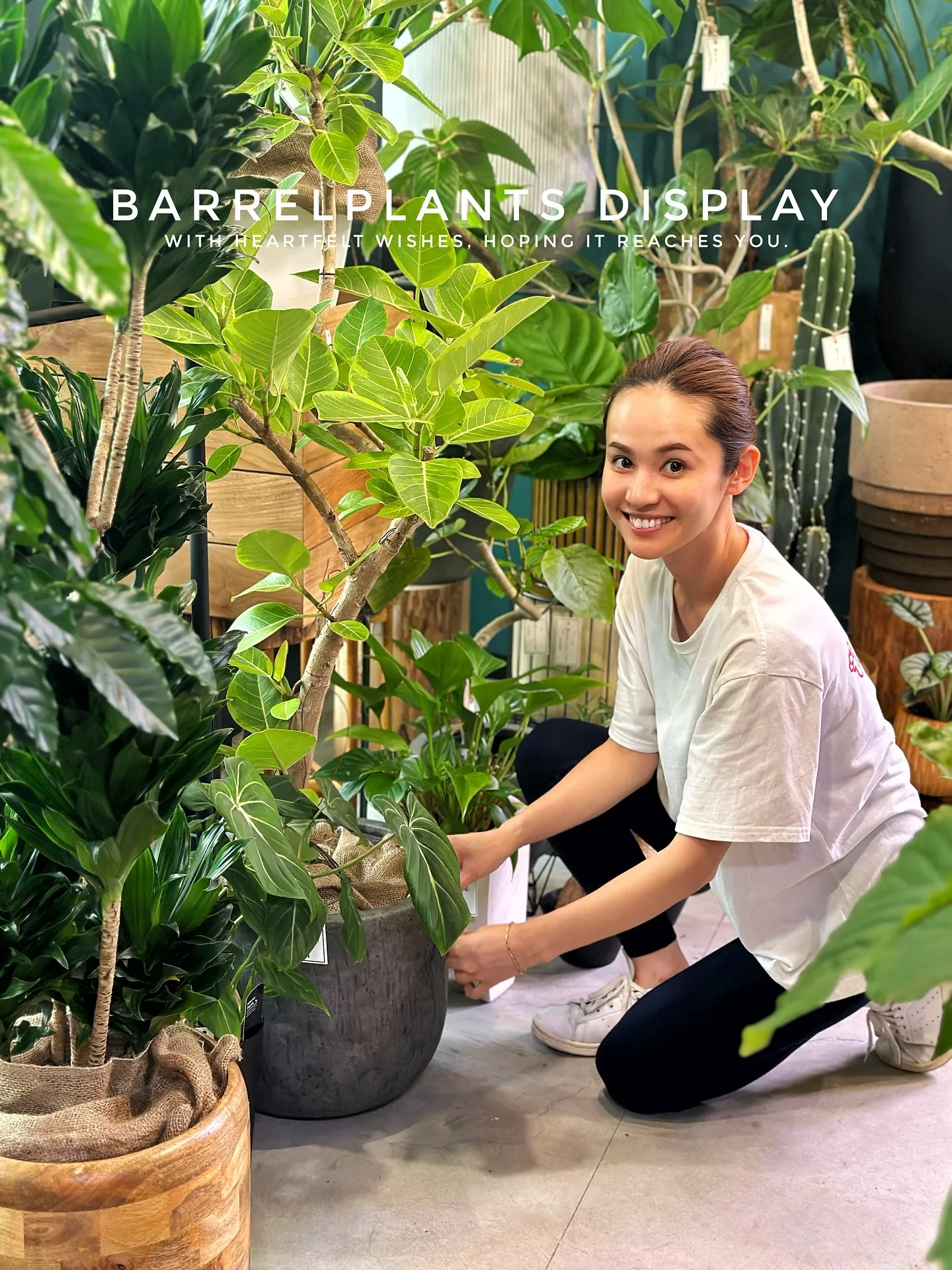 【こだわりの植物達の買い付け完了！植物専門店barrelpl...