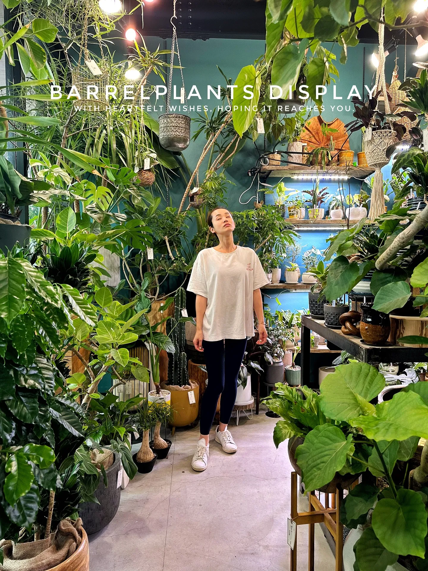 【こだわりの植物達の買い付け完了！植物専門店barrelpl...