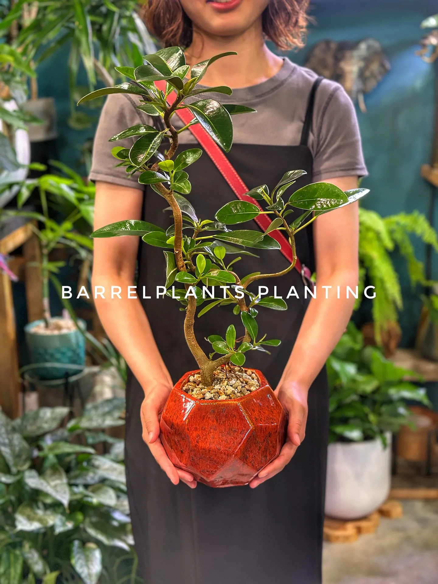 【植物をたくさん置きたいけど管理できない会社様へ。