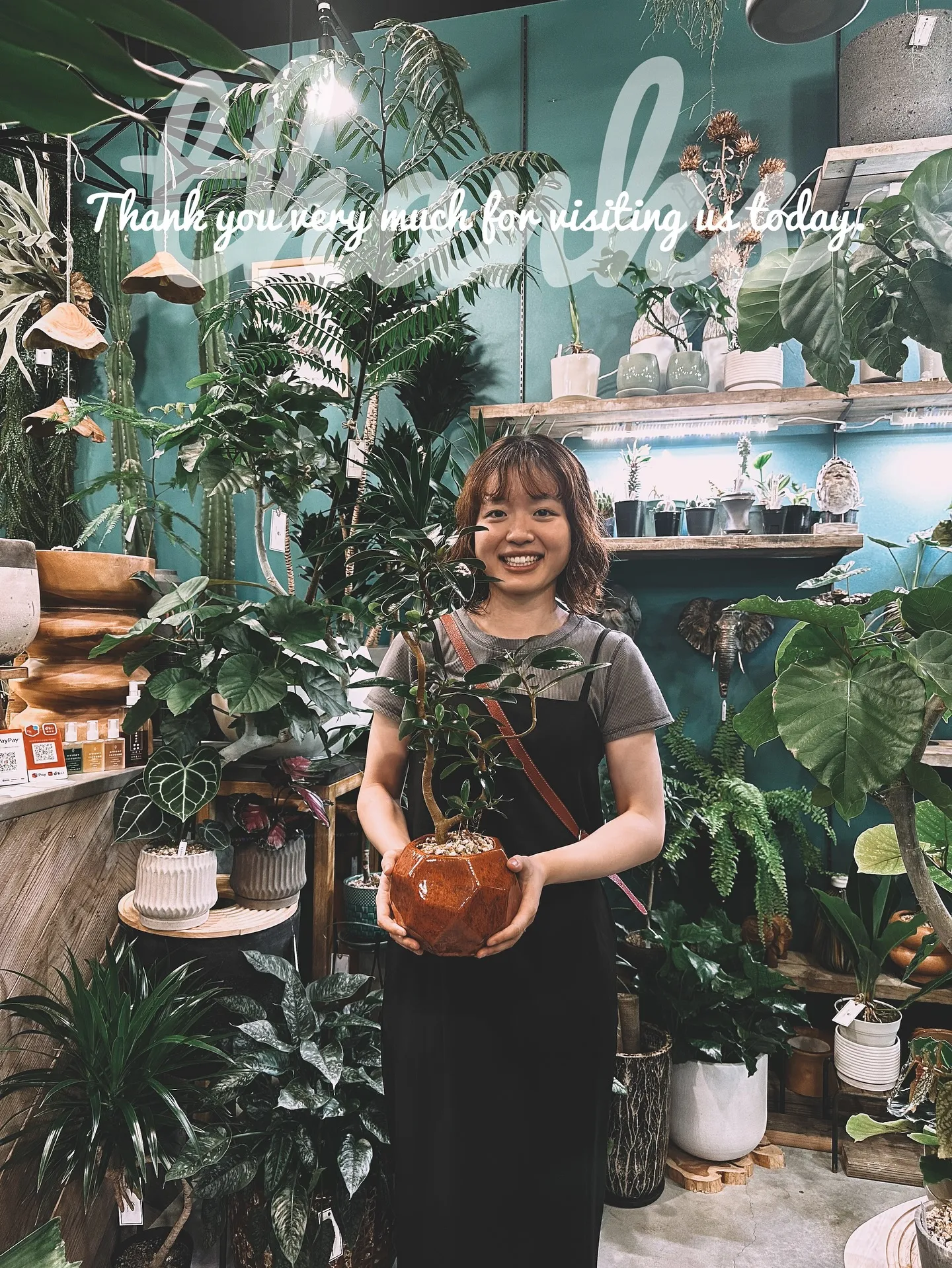 【植物をたくさん置きたいけど管理できない会社様へ。