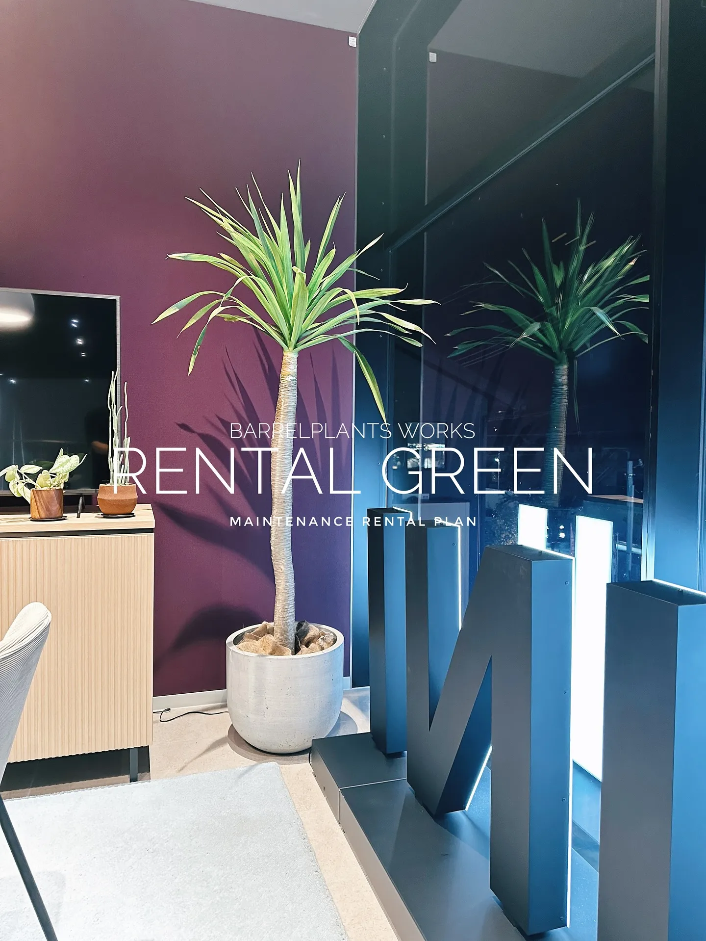 【植物をたくさん置きたいけど管理できない会社様へ。
