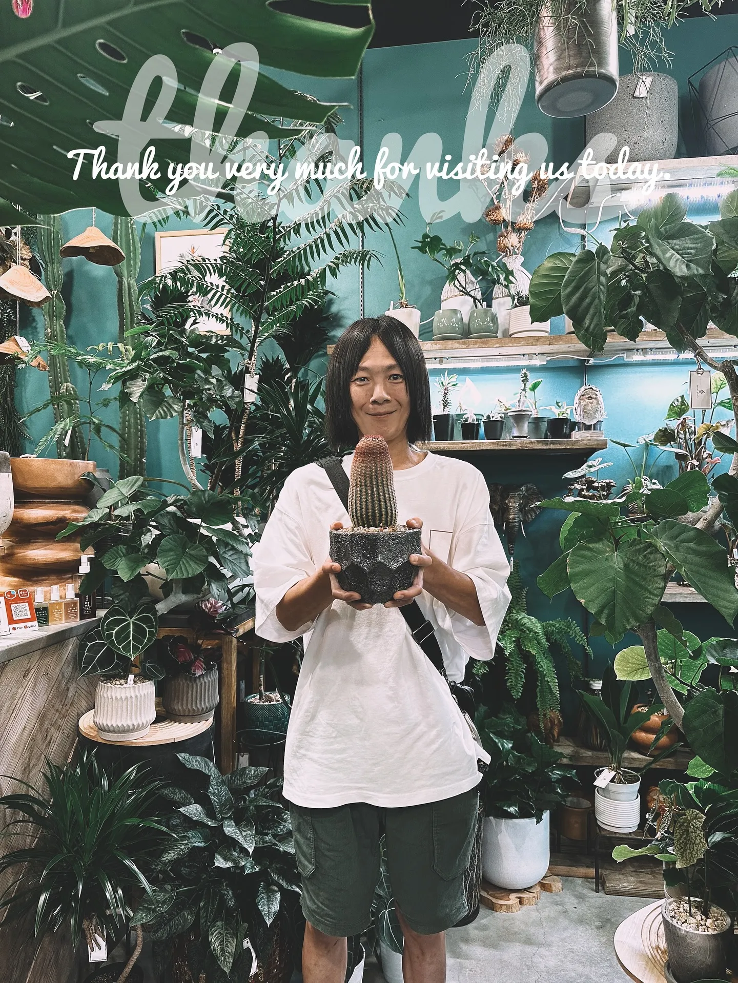 【植物をたくさん置きたいけど管理できない会社様へ。