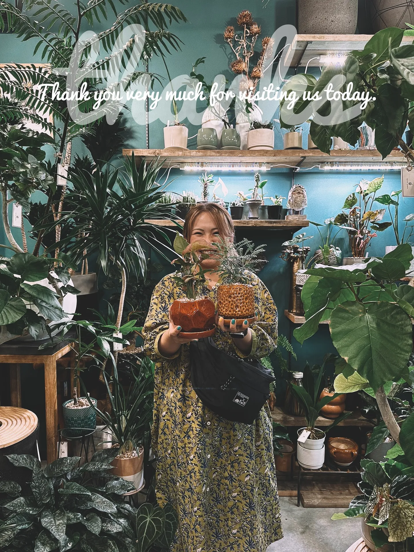 【植物をたくさん置きたいけど管理できない会社様へ。