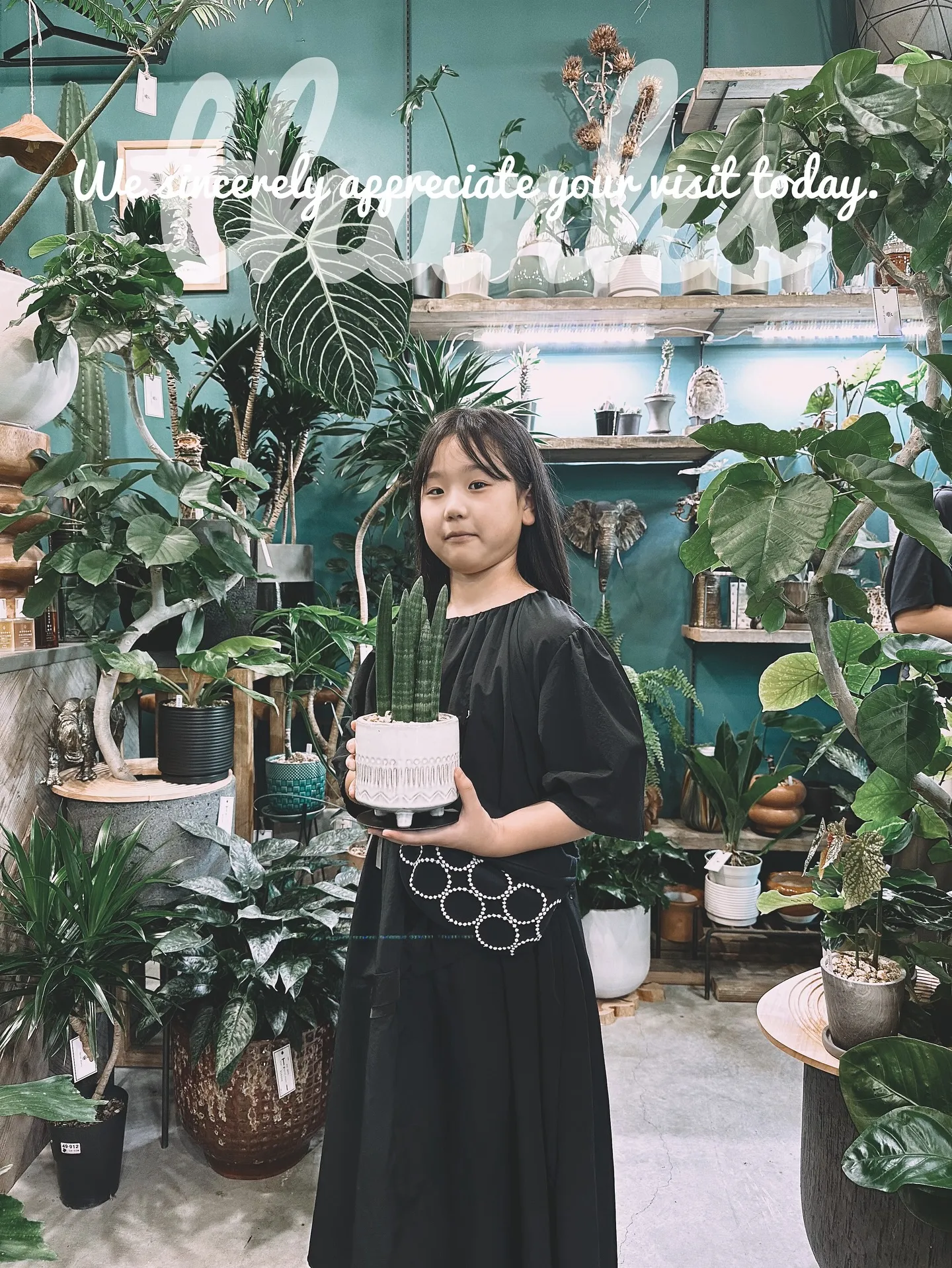 【植物をたくさん置きたいけど管理できない会社様へ。