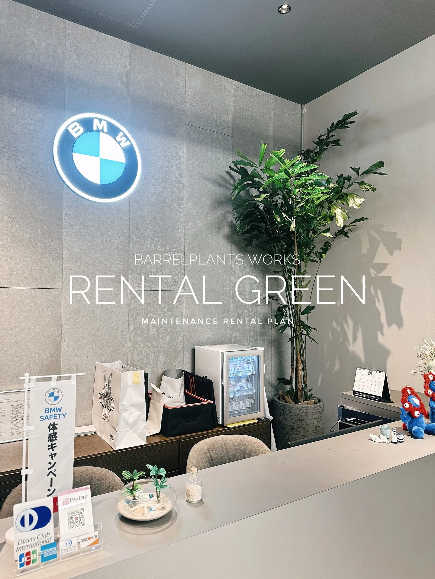【植物をたくさん置きたいけど管理できない会社様へ。