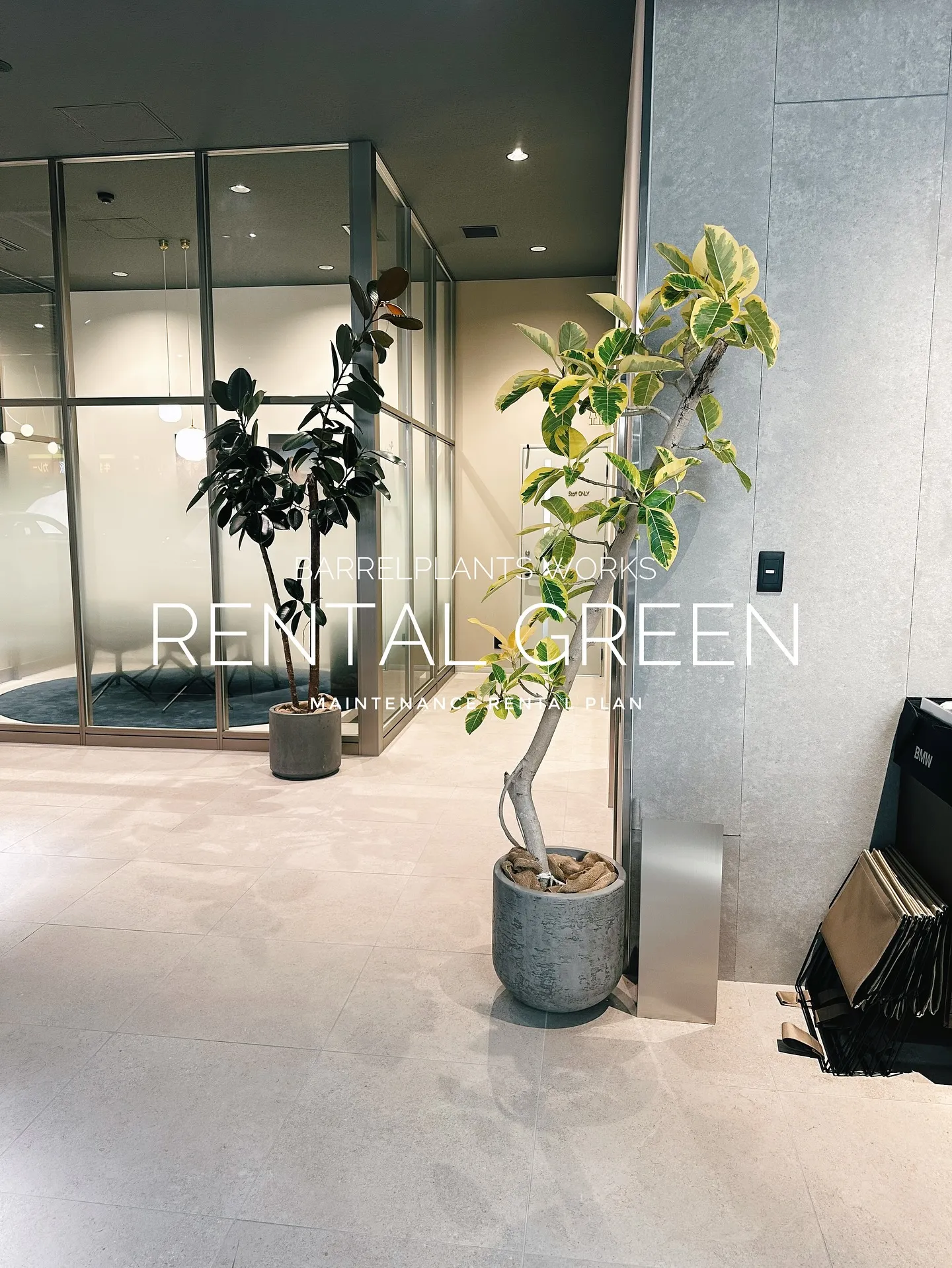 【植物をたくさん置きたいけど管理できない会社様へ。
