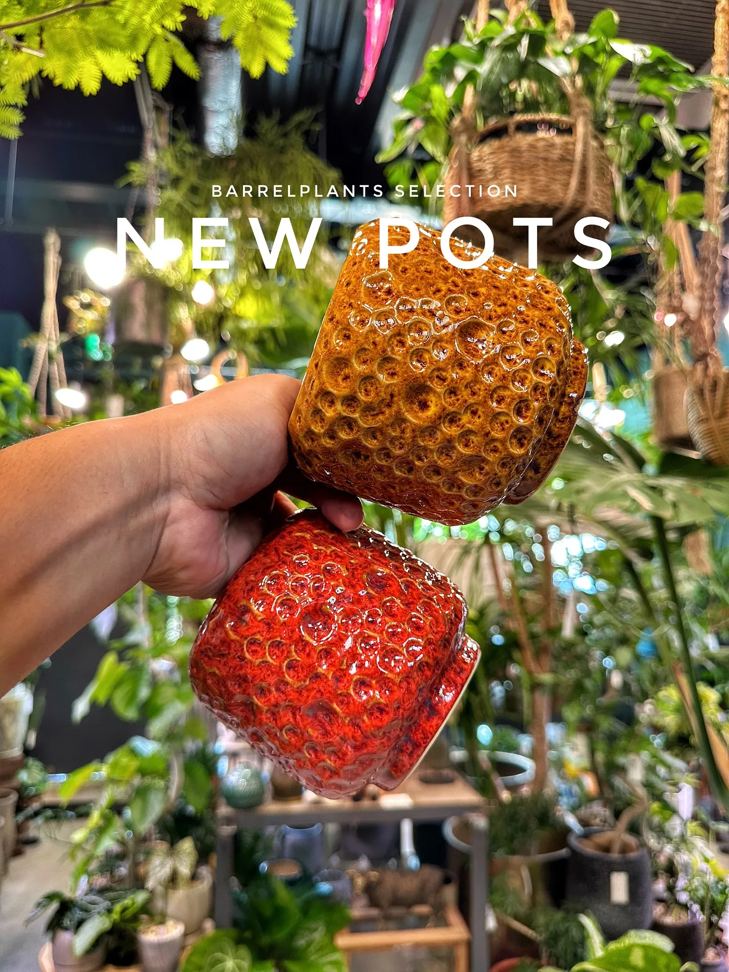 【お客様に笑顔と植物を届けよう♡植物専門店barrelpla...