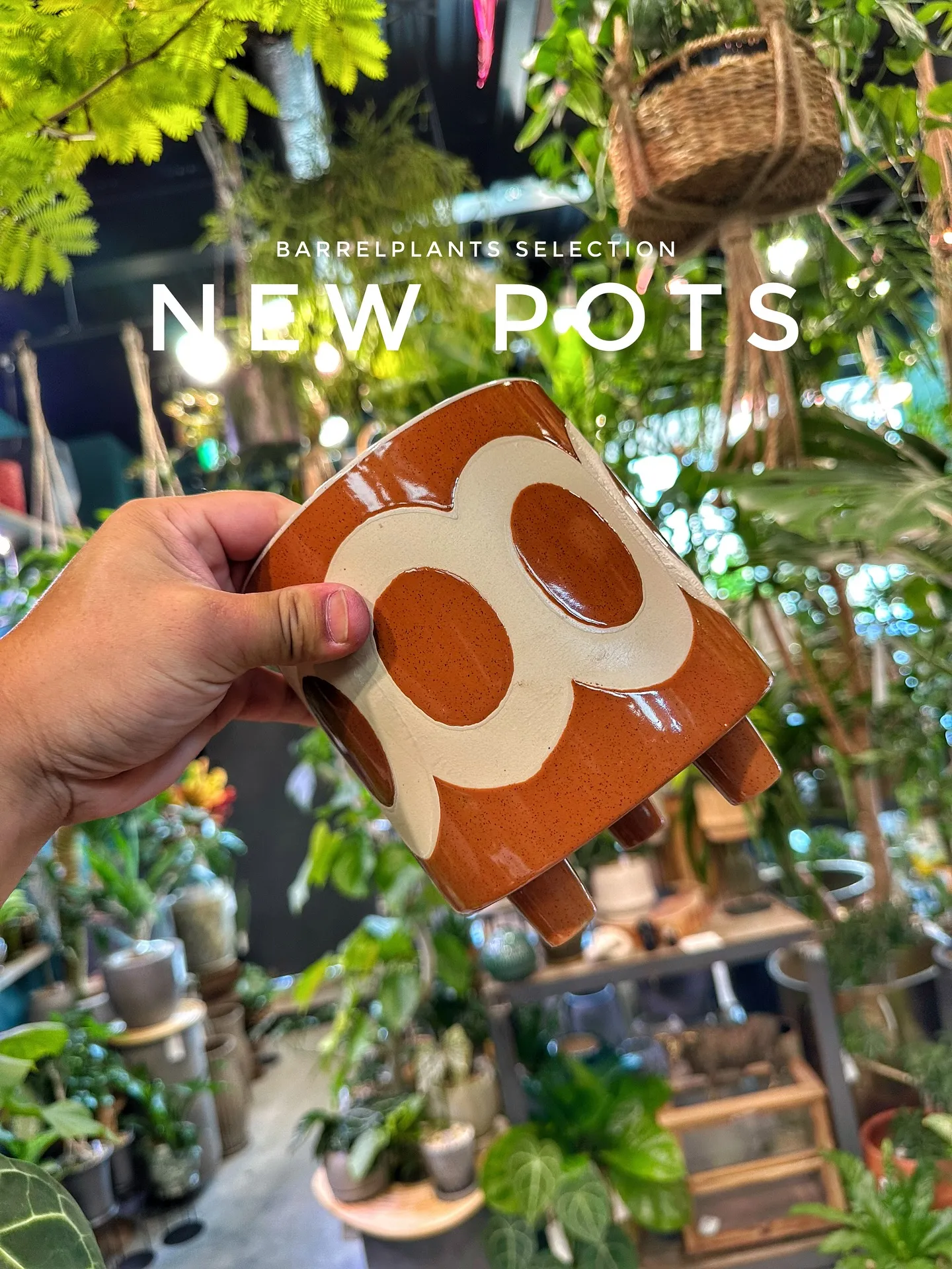 【お客様に笑顔と植物を届けよう♡植物専門店barrelpla...