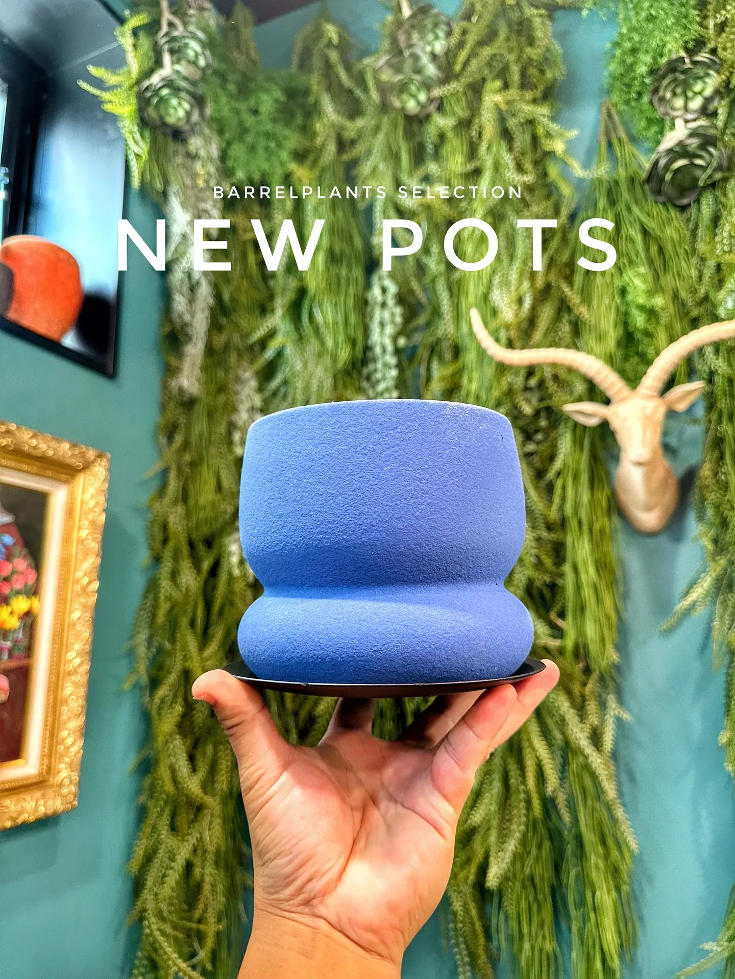 【お客様に笑顔と植物を届けよう♡植物専門店barrelpla...