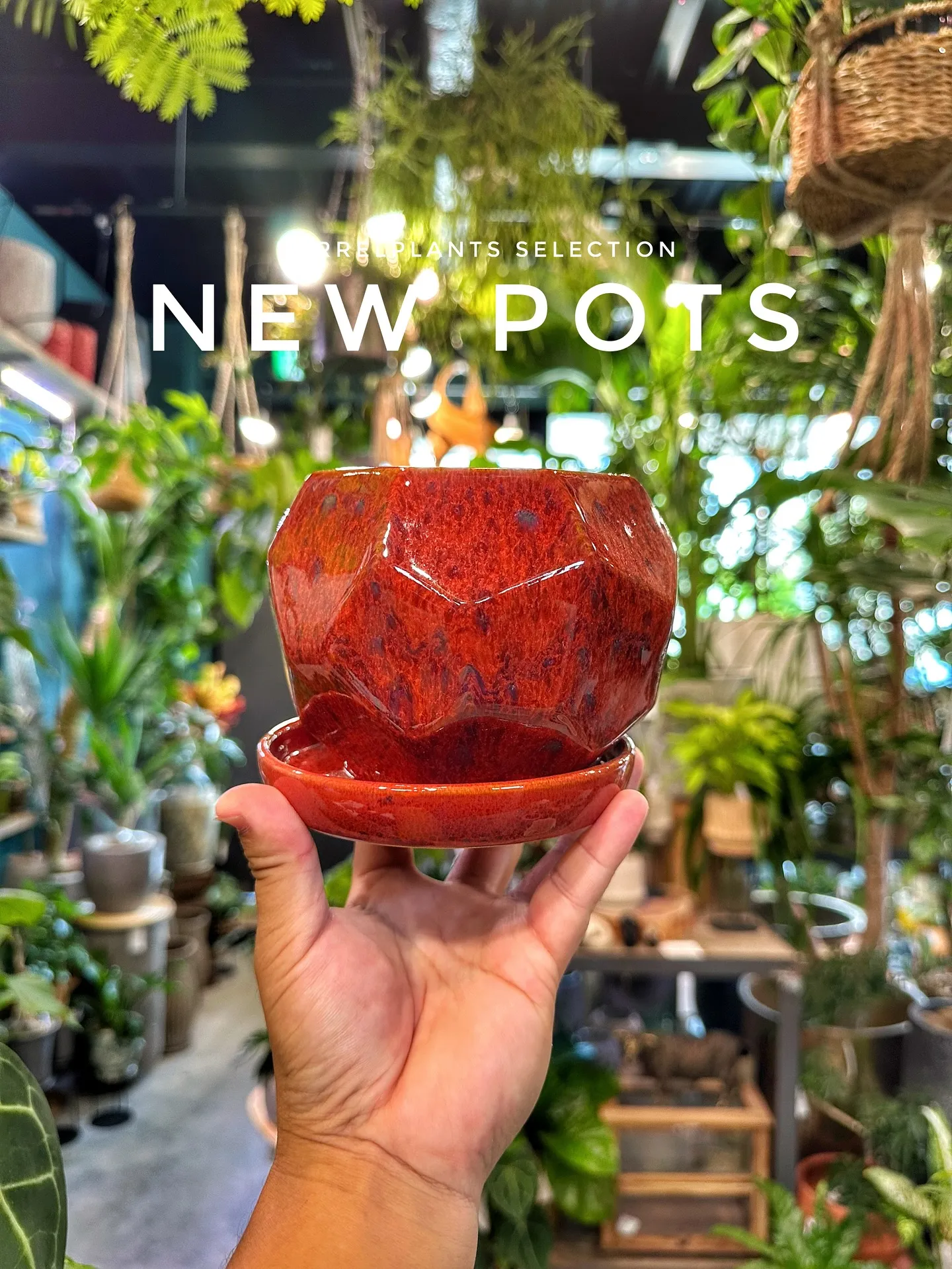 【お客様に笑顔と植物を届けよう♡植物専門店barrelpla...