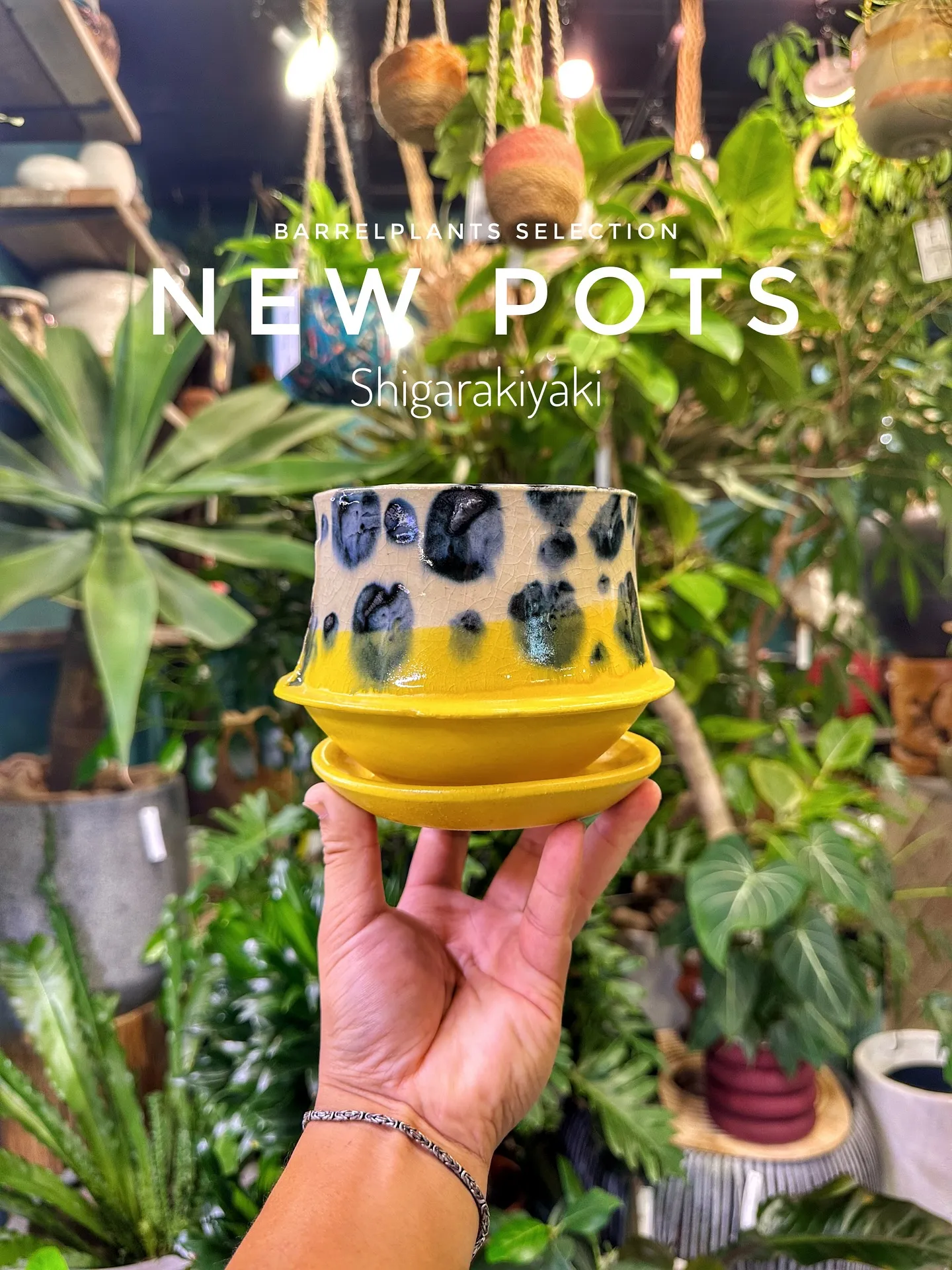 【信楽焼の秋冬の新作鉢入荷のご案内♡barrelplants...