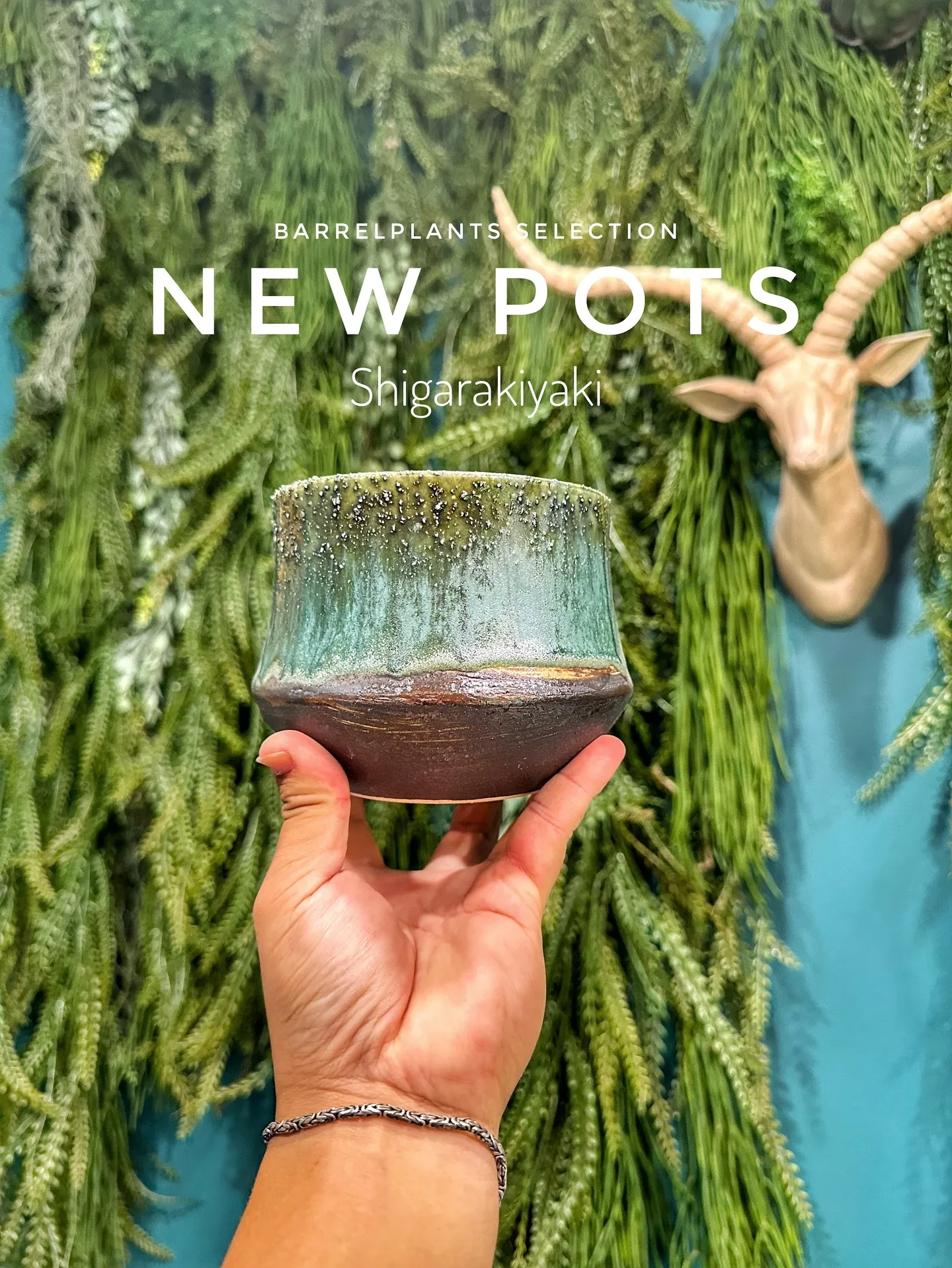 【信楽焼の秋冬の新作鉢入荷のご案内♡barrelplants...